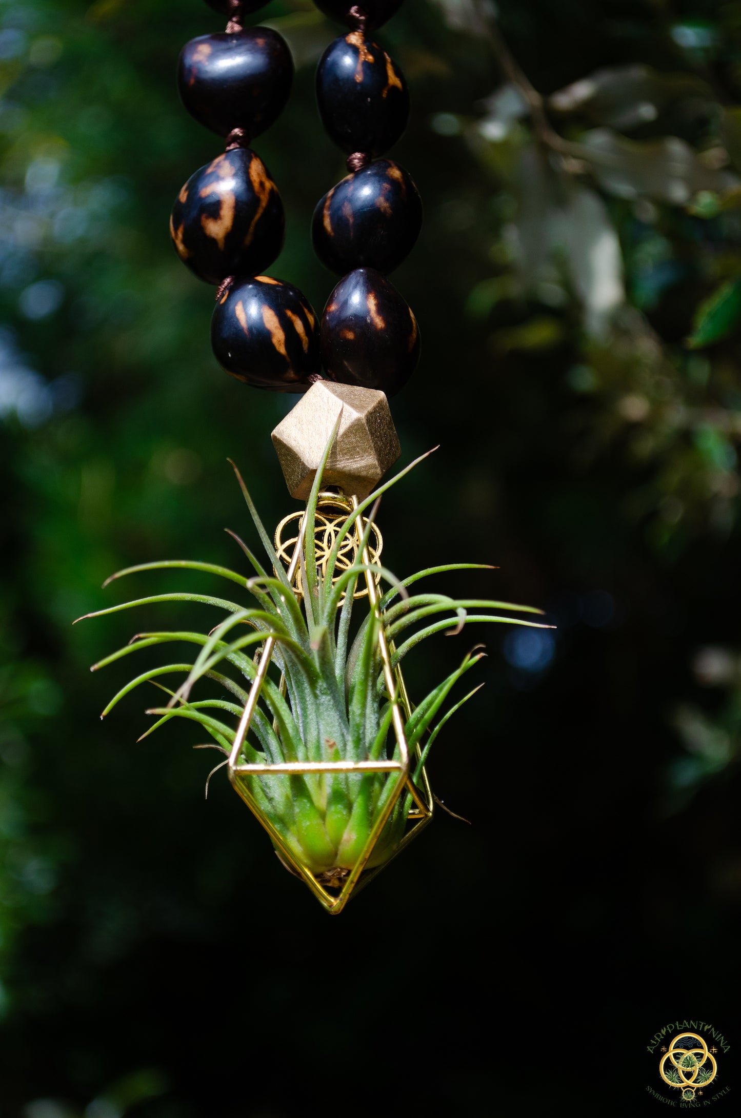 Rudraksha Monk Prayer Bead Air Plant Necklace