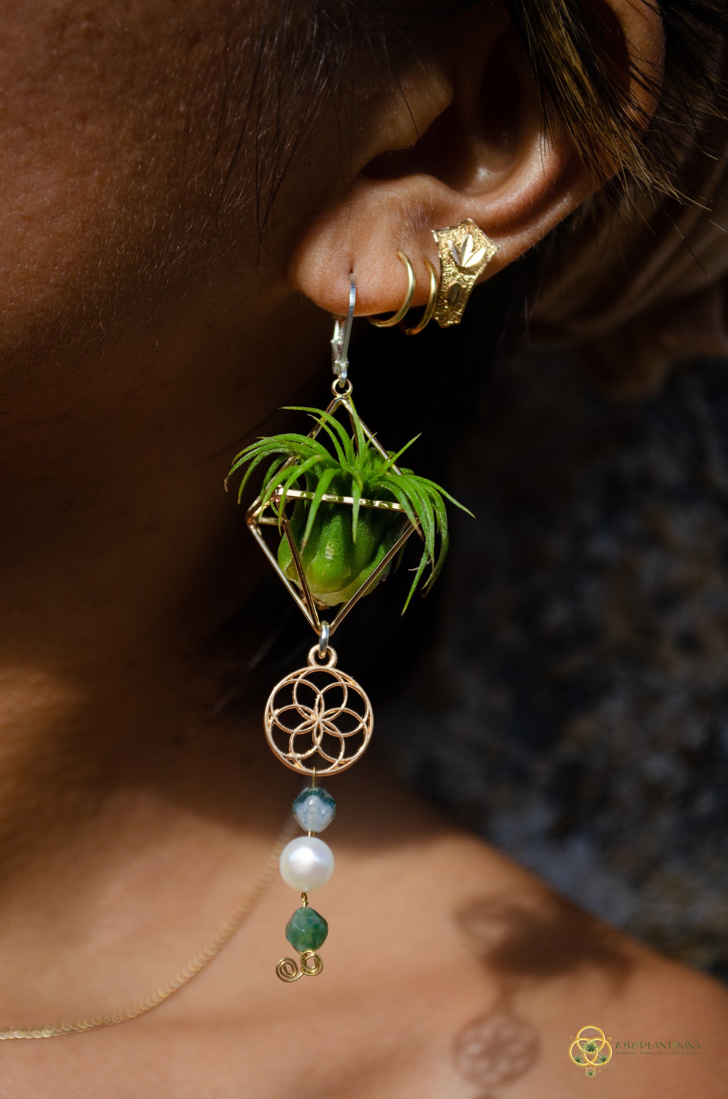 Minimalist Flower of Life Crystal Pearl Air Plant Earrings ~ Diamond Octahedron Earrings