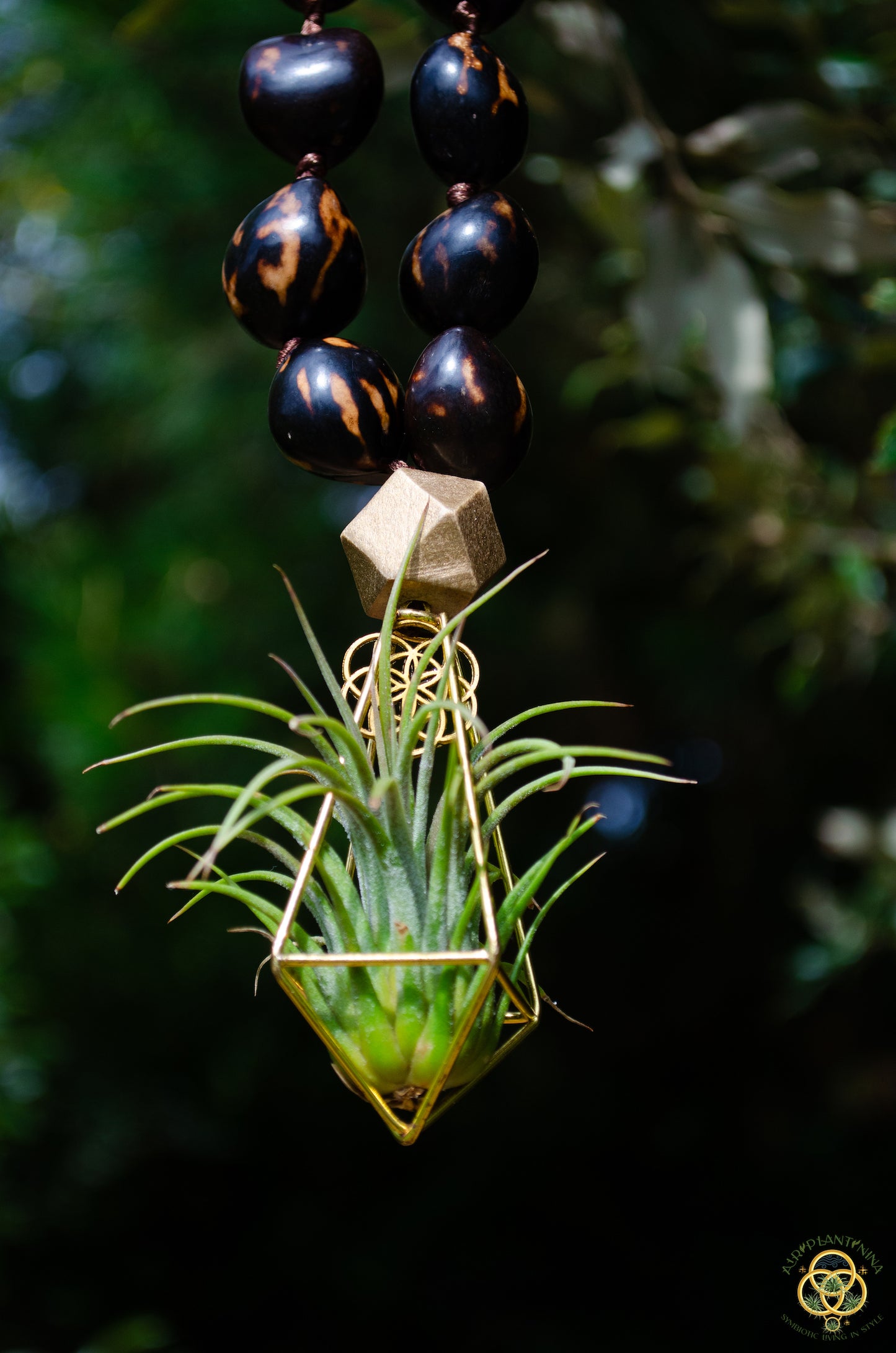 Rudraksha Monk Prayer Bead Air Plant Necklace