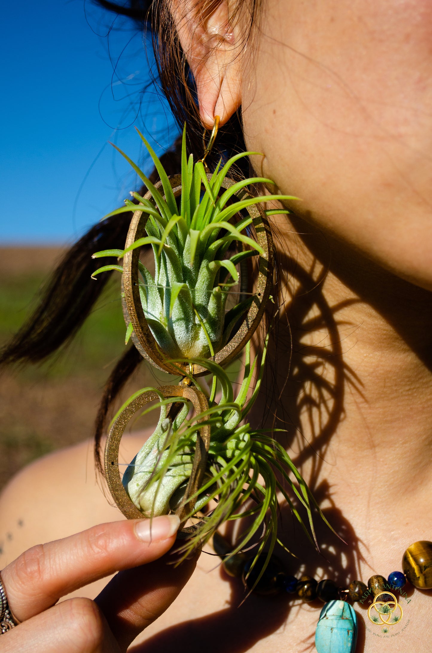 Lasercut Wooden Air Plant Orb Earrings ~ Japanese Tsugite Technique