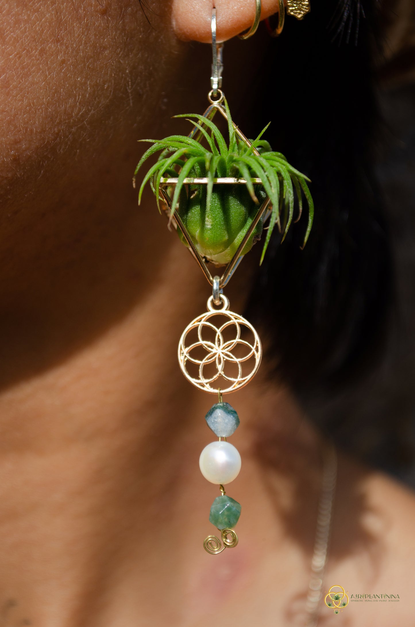 Minimalist Flower of Life Crystal Pearl Air Plant Earrings ~ Diamond Octahedron Earrings