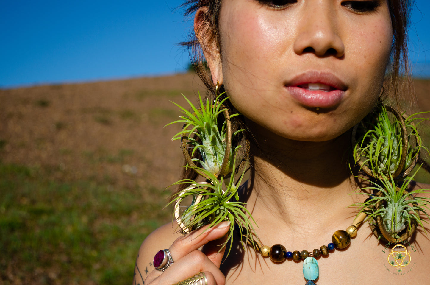 Lasercut Wooden Air Plant Orb Earrings ~ Japanese Tsugite Technique
