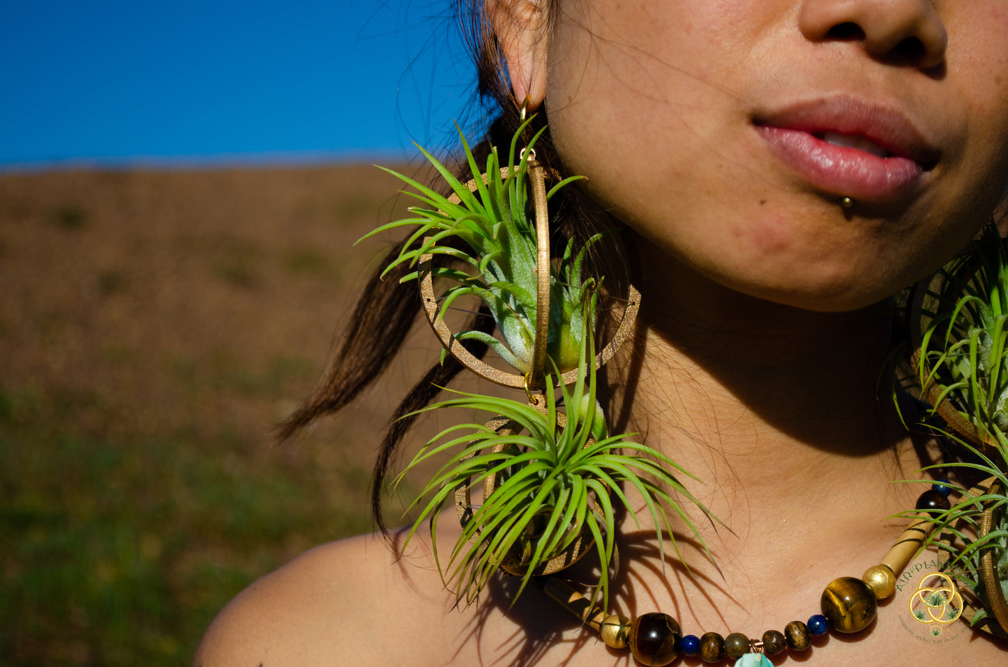 Lasercut Wooden Air Plant Orb Earrings ~ Japanese Tsugite Technique