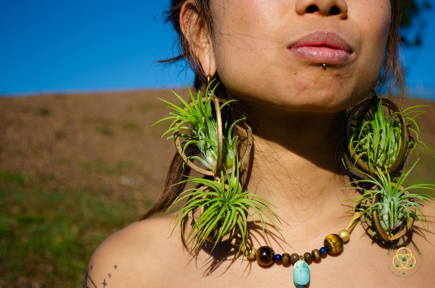 Lasercut Wooden Air Plant Orb Earrings ~ Japanese Tsugite Technique