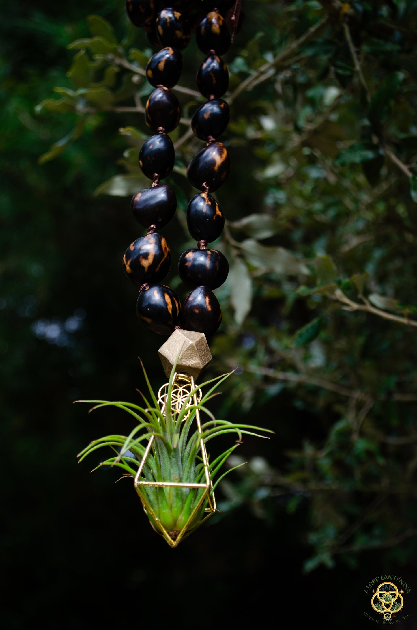 Rudraksha Monk Prayer Bead Air Plant Necklace