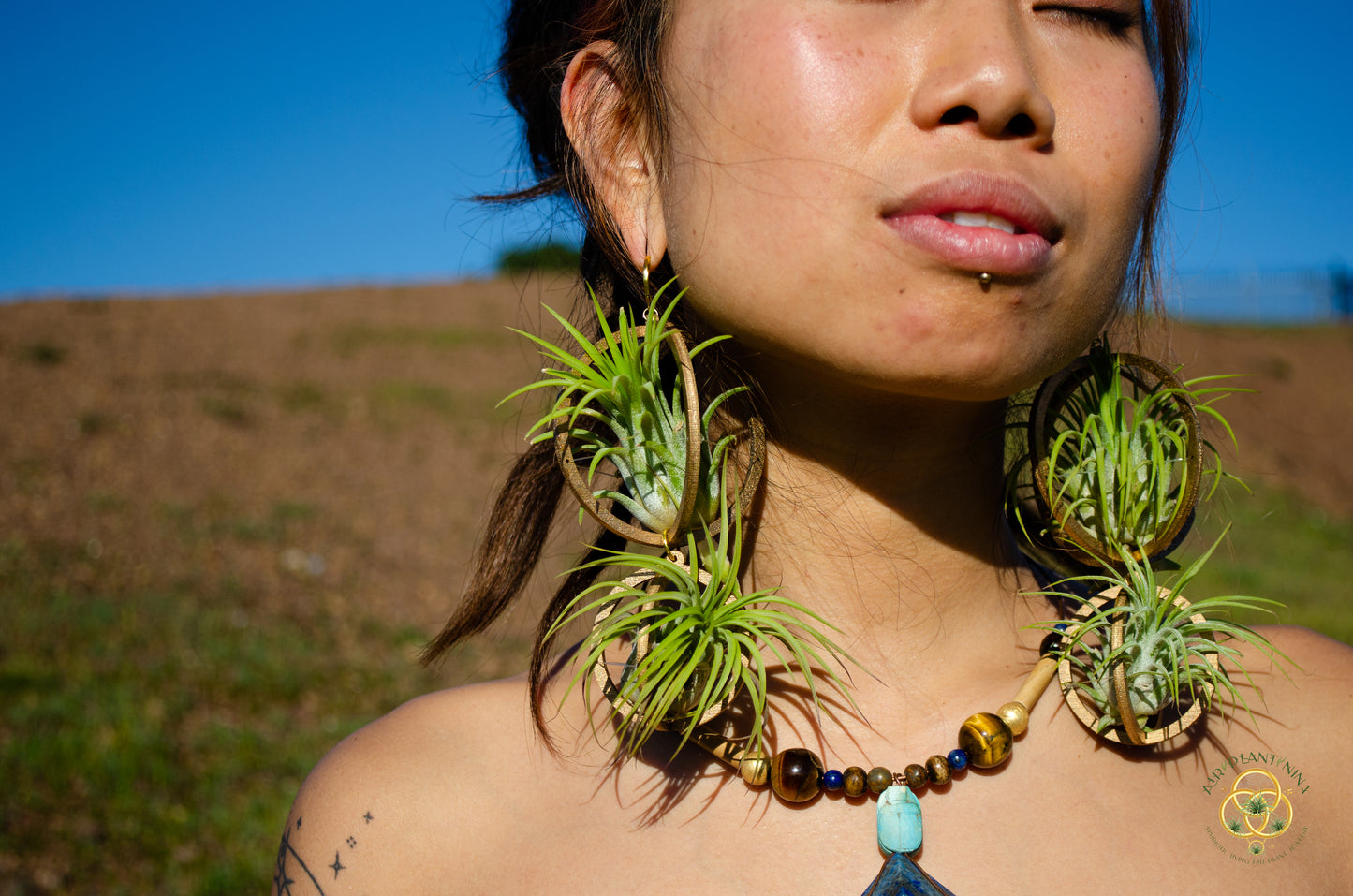 Lasercut Wooden Air Plant Orb Earrings ~ Japanese Tsugite Technique