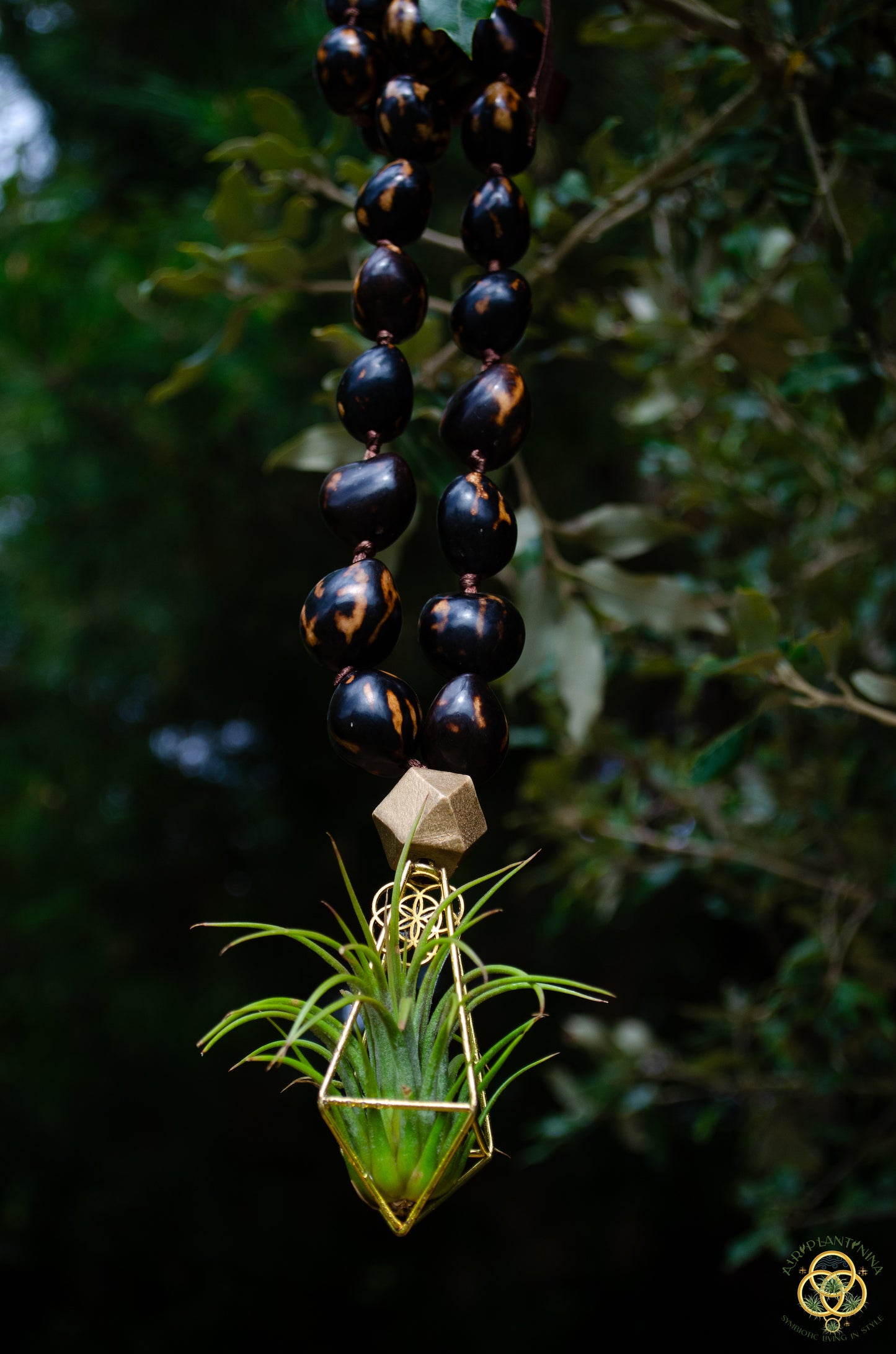 Rudraksha Monk Prayer Bead Air Plant Necklace