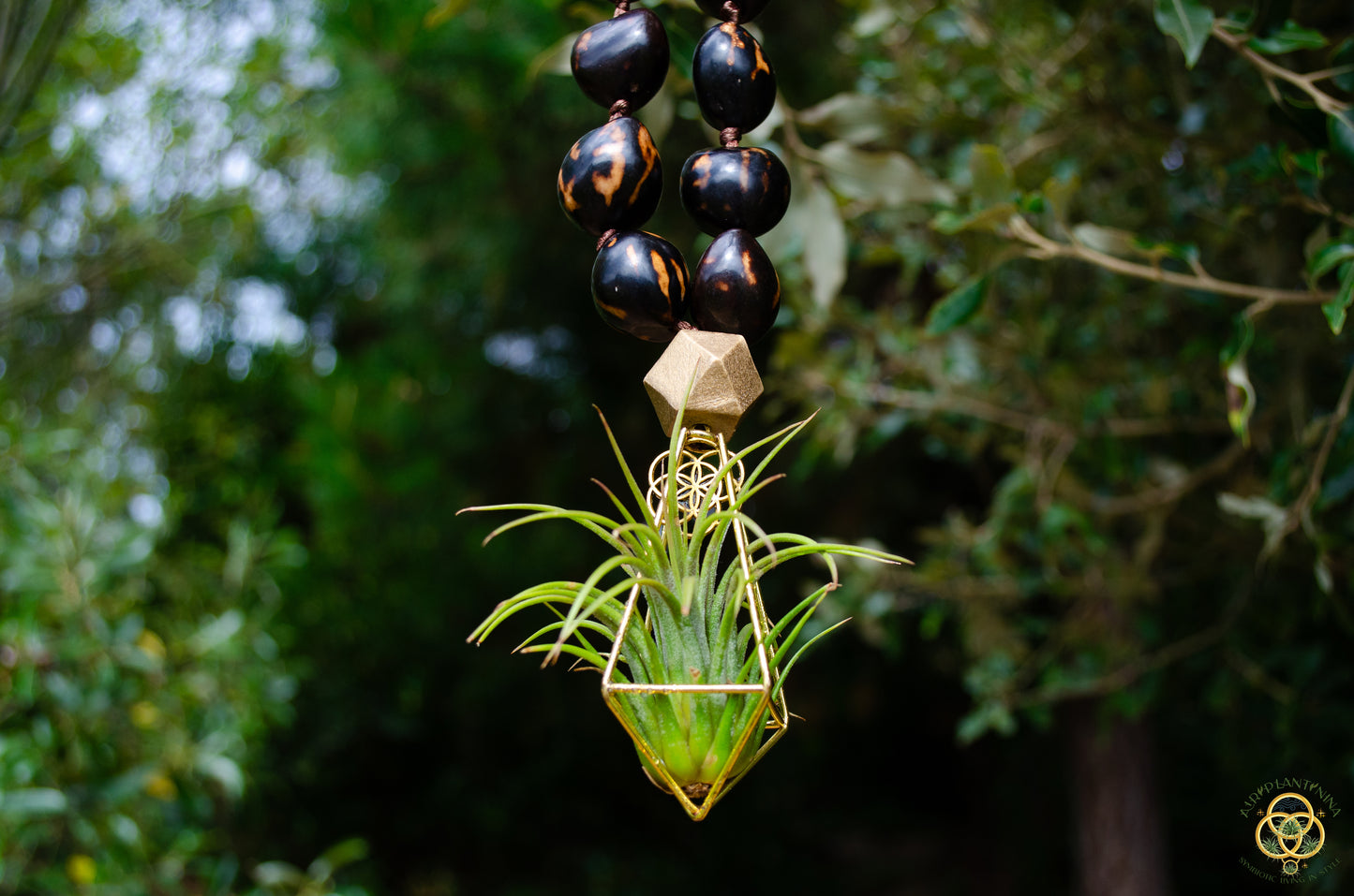 Rudraksha Monk Prayer Bead Air Plant Necklace
