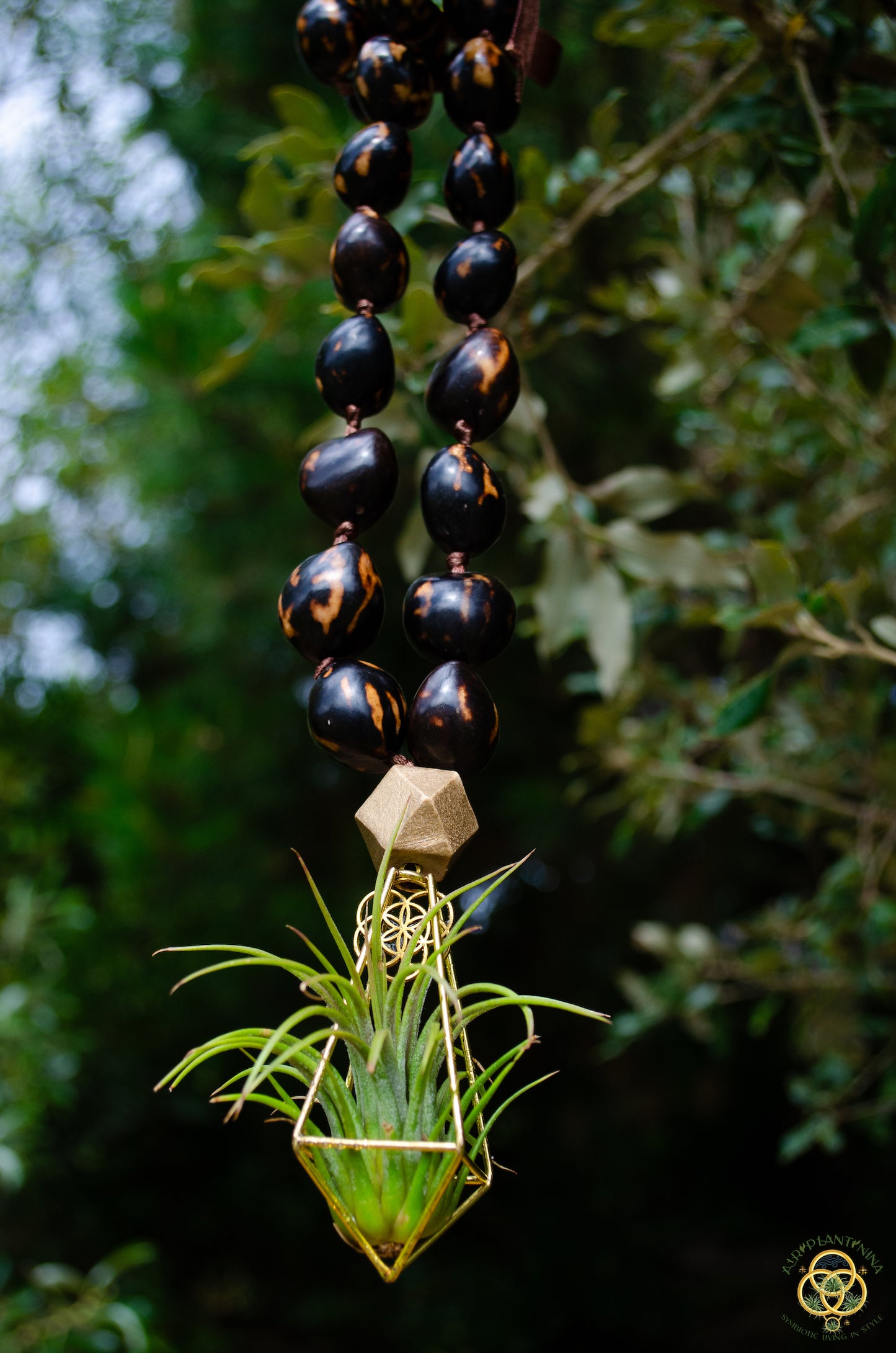 Rudraksha Monk Prayer Bead Air Plant Necklace