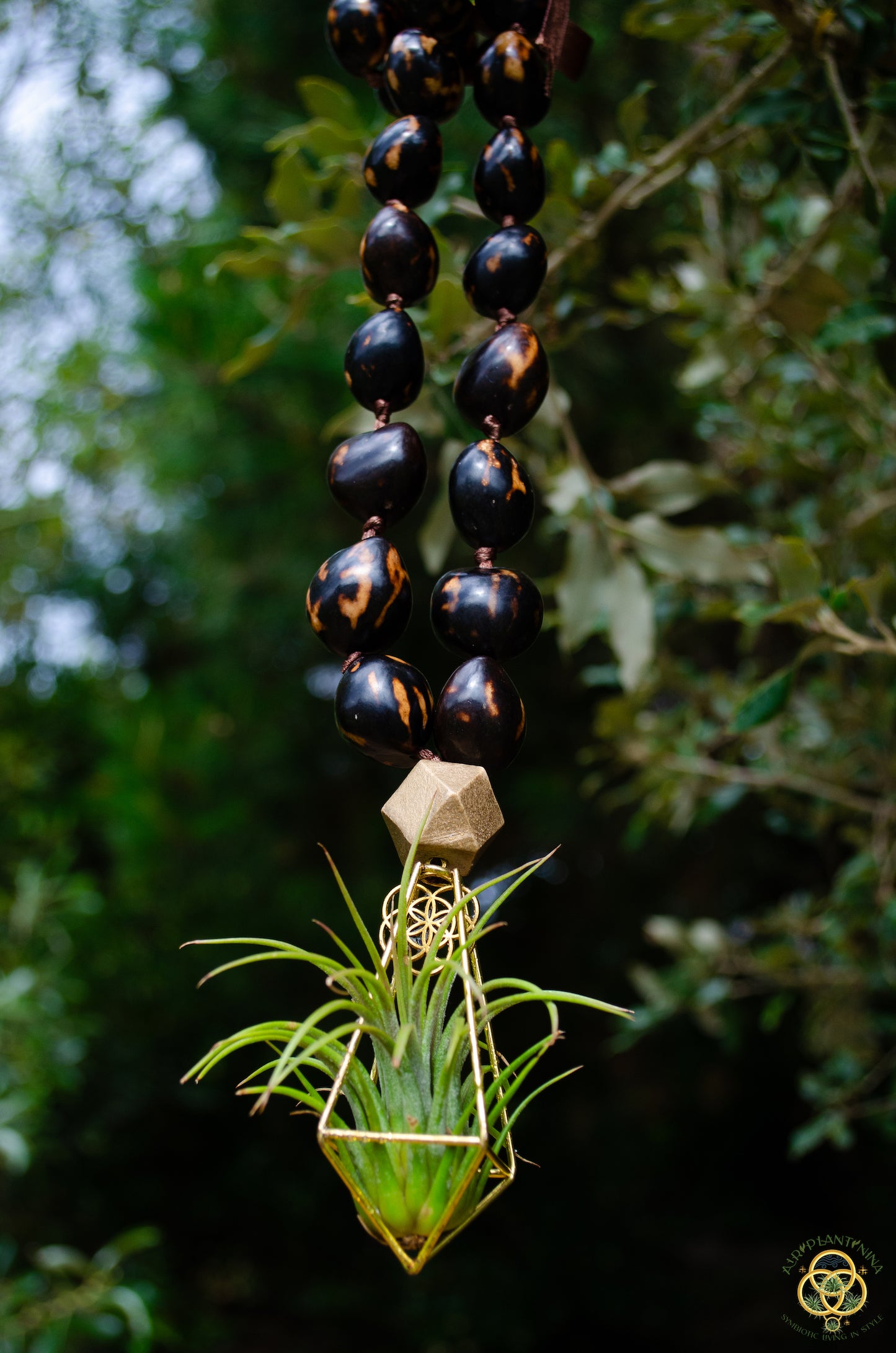Rudraksha Monk Prayer Bead Air Plant Necklace