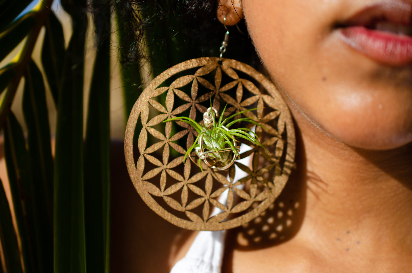 Flower of Life Wood Air Plant Earrings