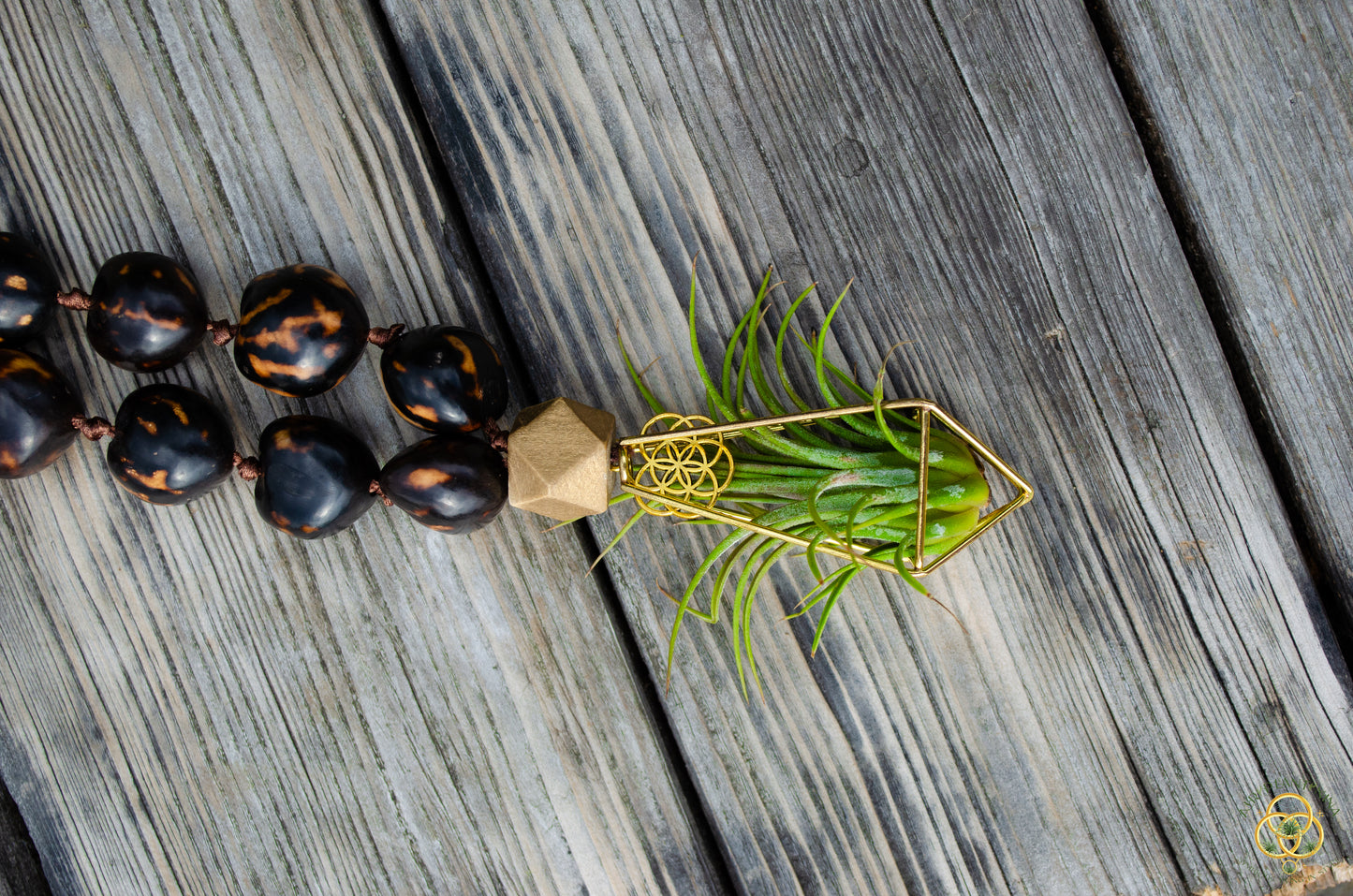Rudraksha Monk Prayer Bead Air Plant Necklace