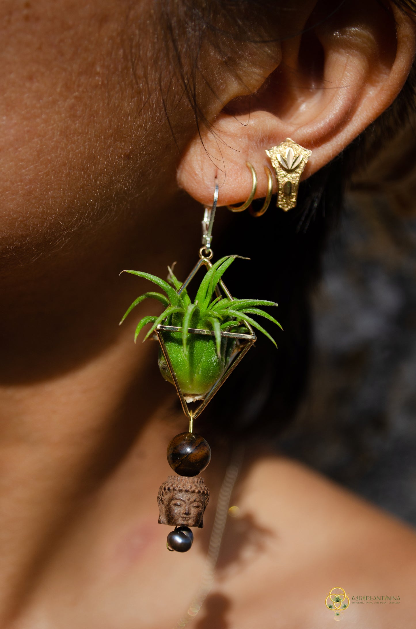 Buddha Air Plant Earrings ~ Diamond Octahedron Earrings