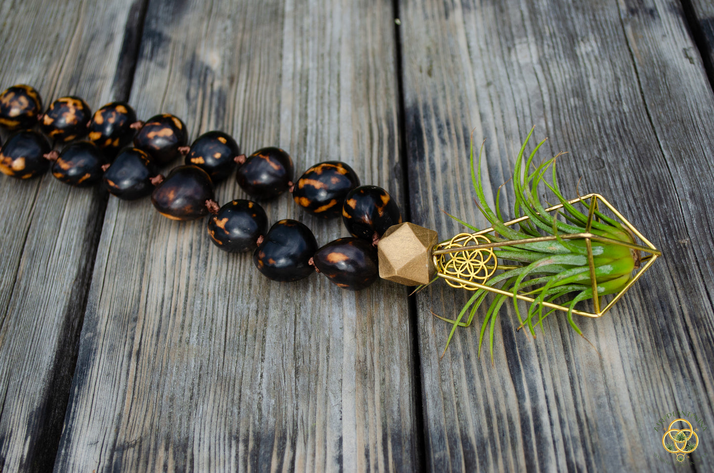 Rudraksha Monk Prayer Bead Air Plant Necklace