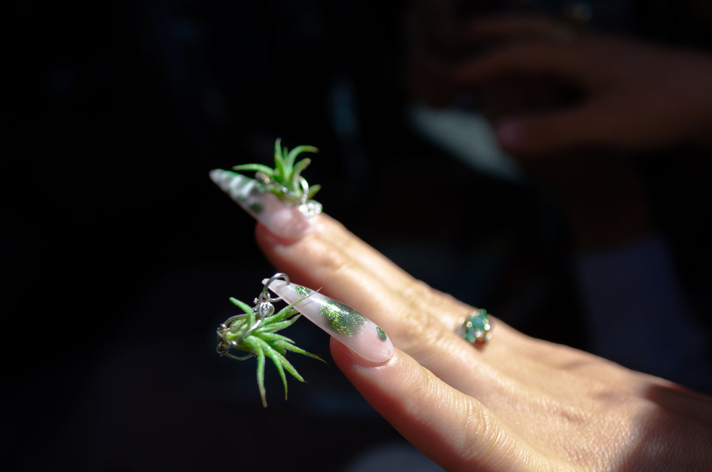 Air Plant Glam Nails ~ Interchangeable in Orbs