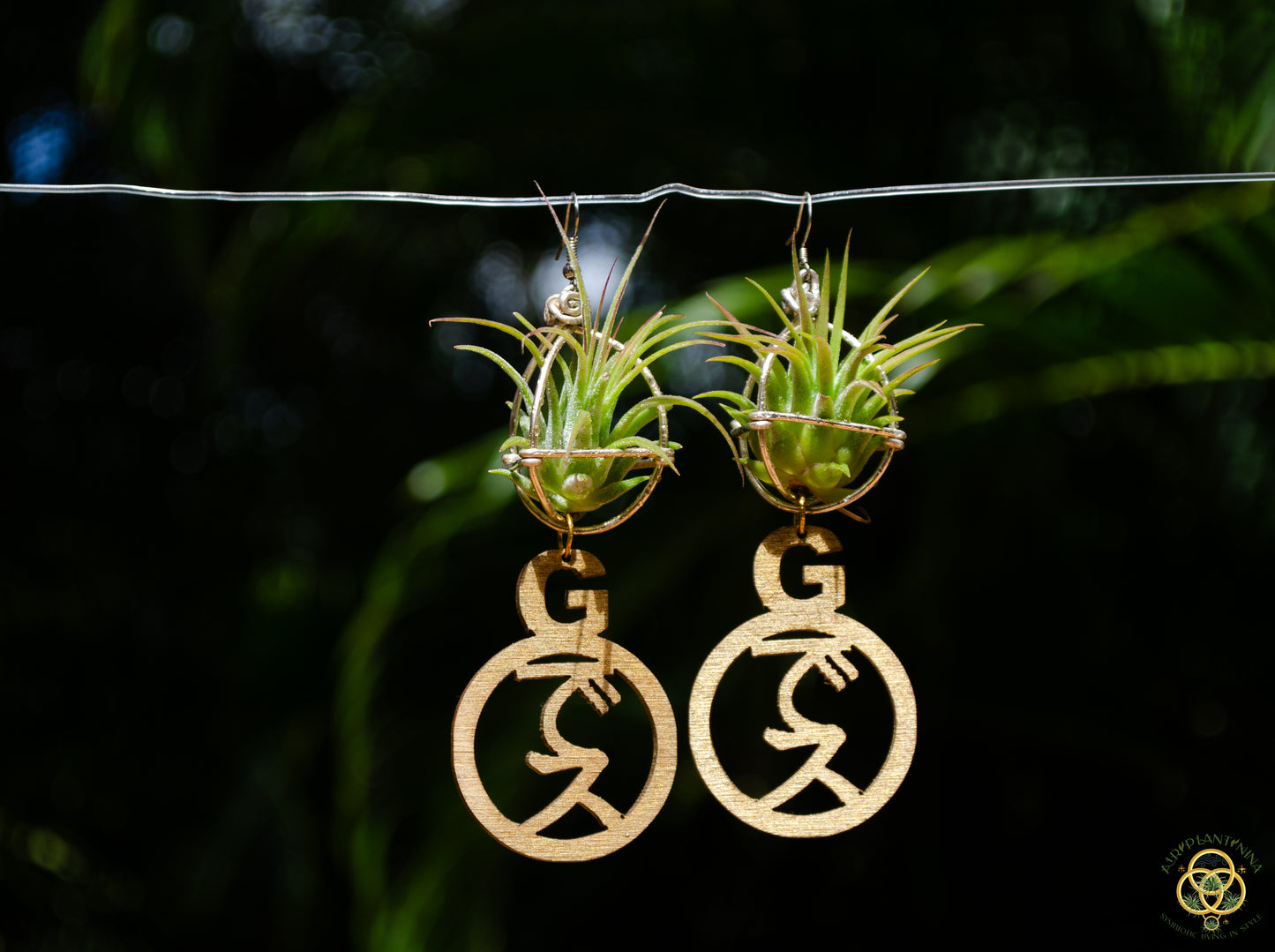 Goddess Ankanji Key Code Light Language Wooden Hoop Earrings