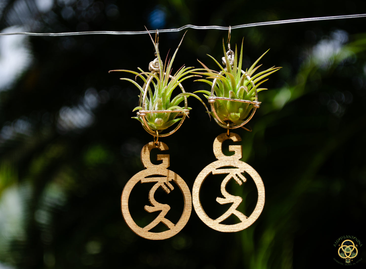 Goddess Ankanji Key Code Light Language Wooden Hoop Earrings