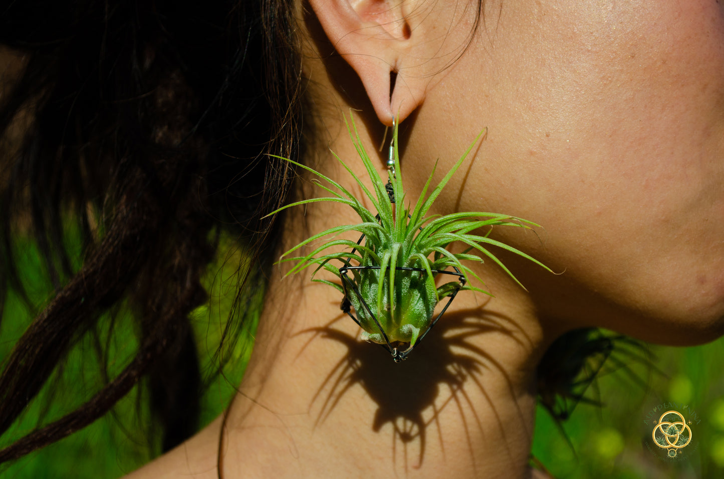 Large Diamond Air Plant Earrings - Geometric Octahedrons (Sterling Silver)