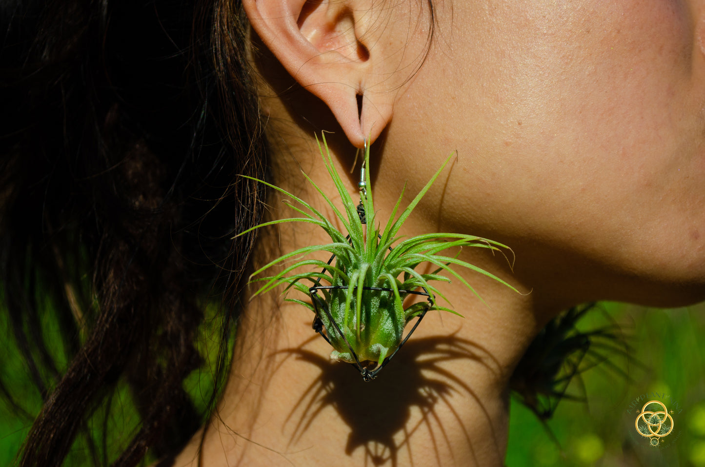 Large Diamond Air Plant Earrings - Geometric Octahedrons (Sterling Silver)