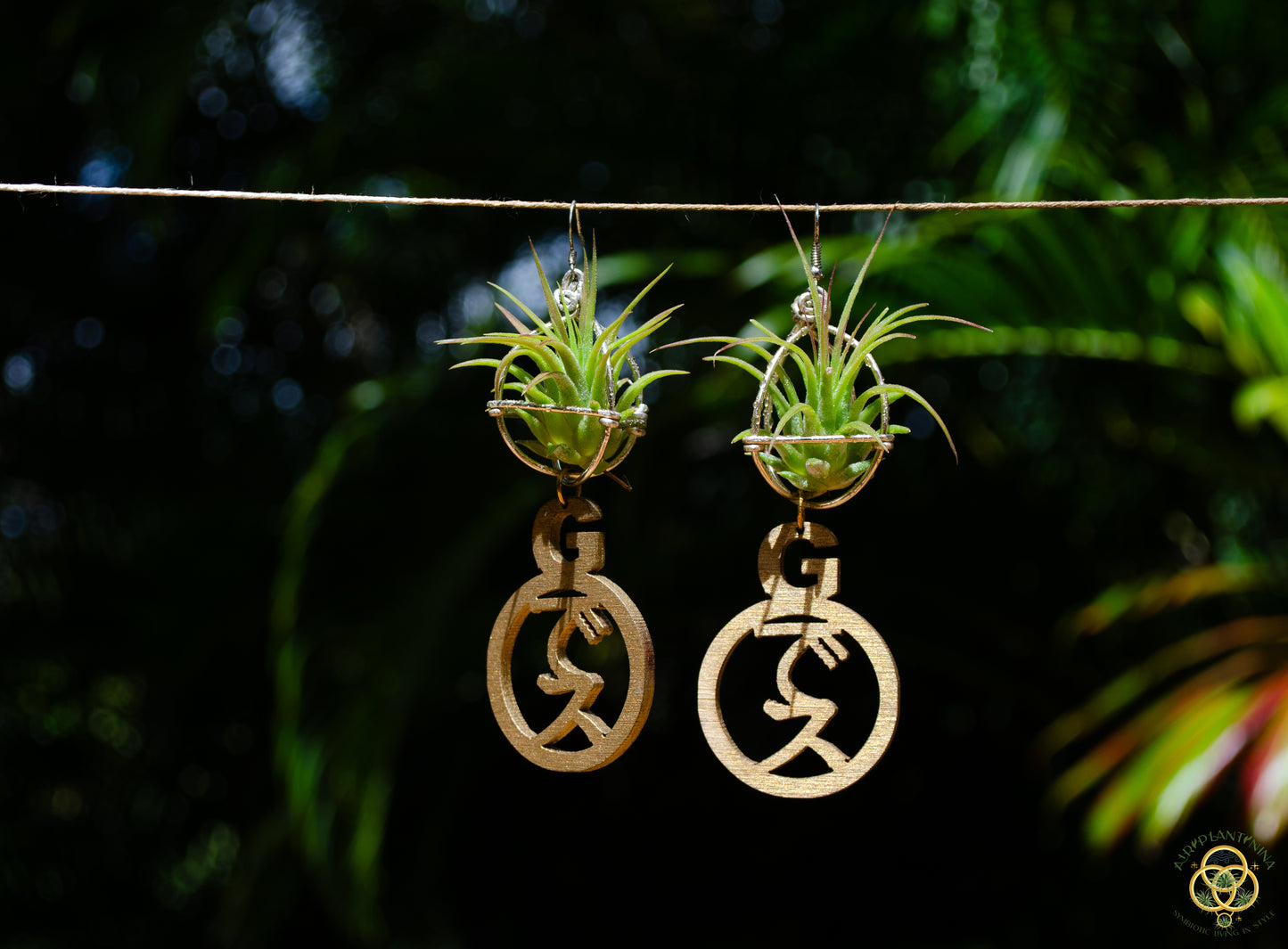 Goddess Ankanji Key Code Light Language Wooden Hoop Earrings