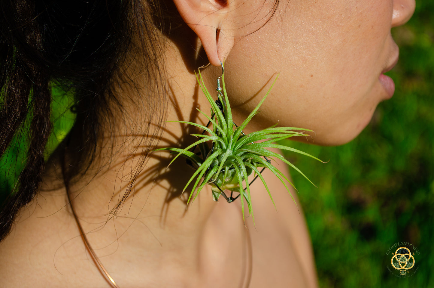 Large Diamond Air Plant Earrings - Geometric Octahedrons (Sterling Silver)