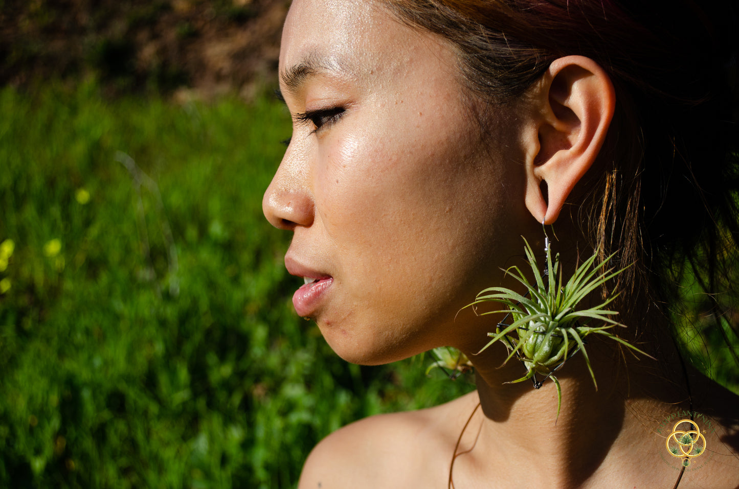Large Diamond Air Plant Earrings - Geometric Octahedrons (Sterling Silver)