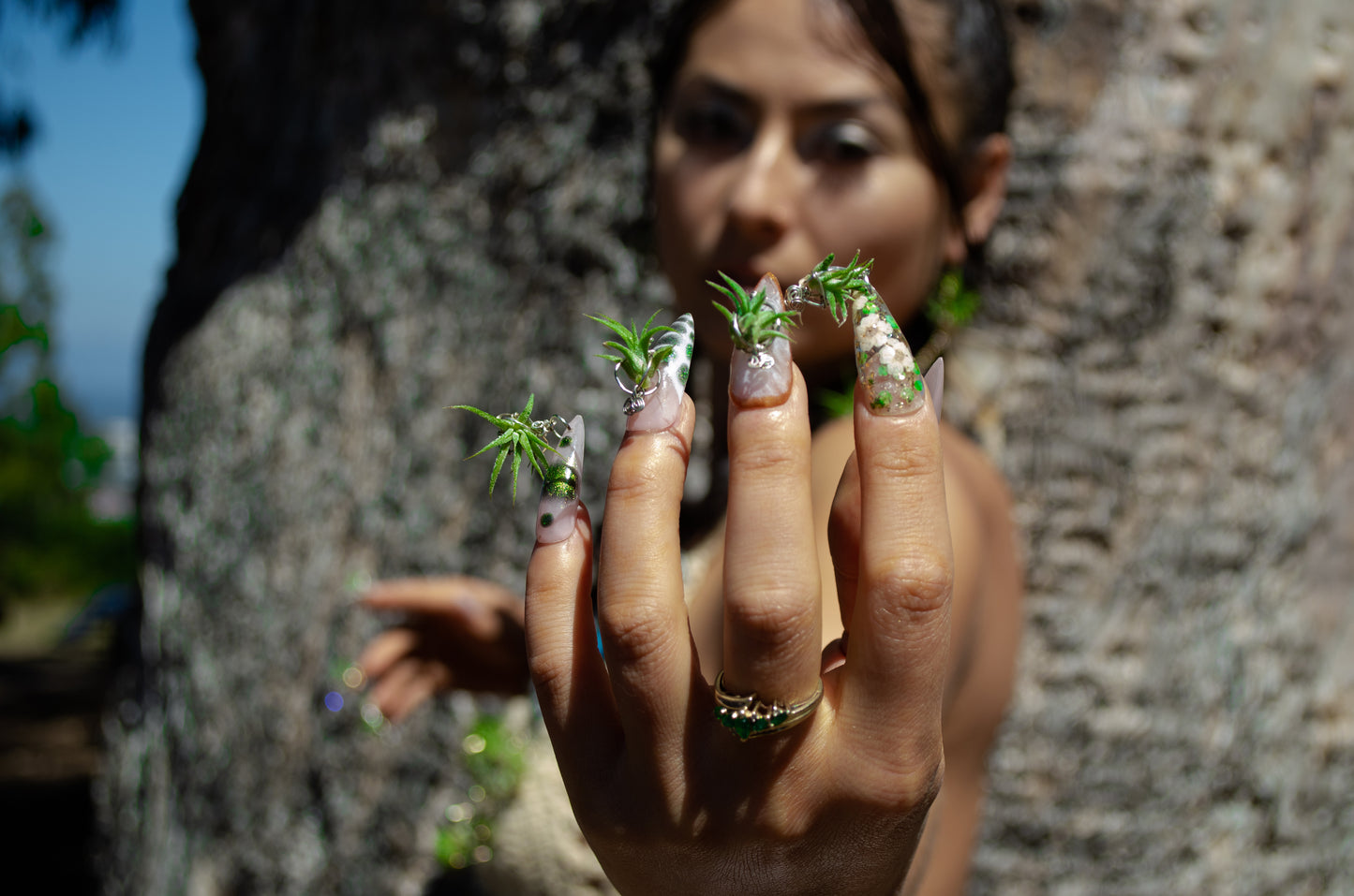 Air Plant Glam Nails ~ Interchangeable in Orbs