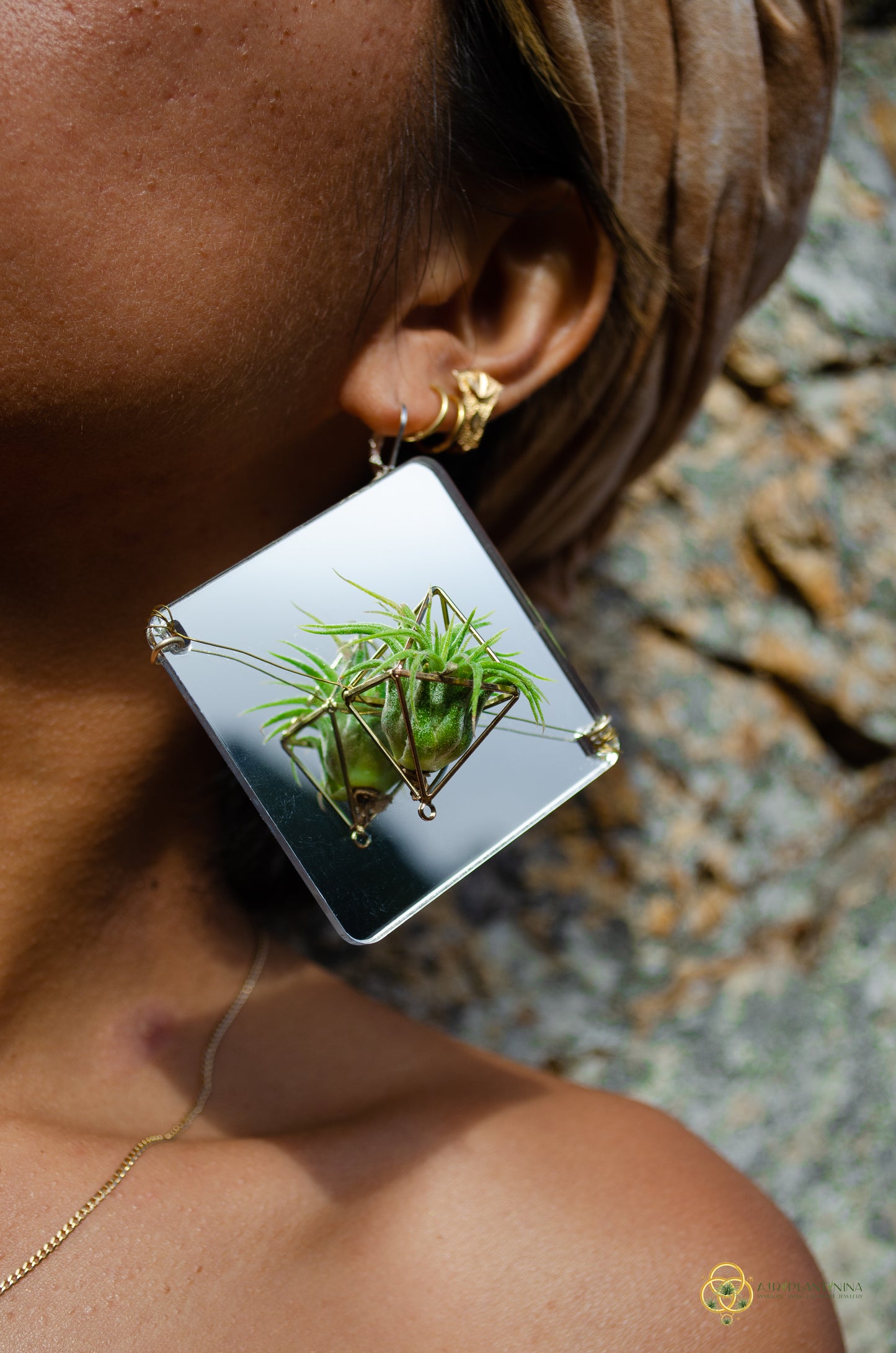Holographic Mirror Air Plant Earrings ~  Iridescent Living Earrings
