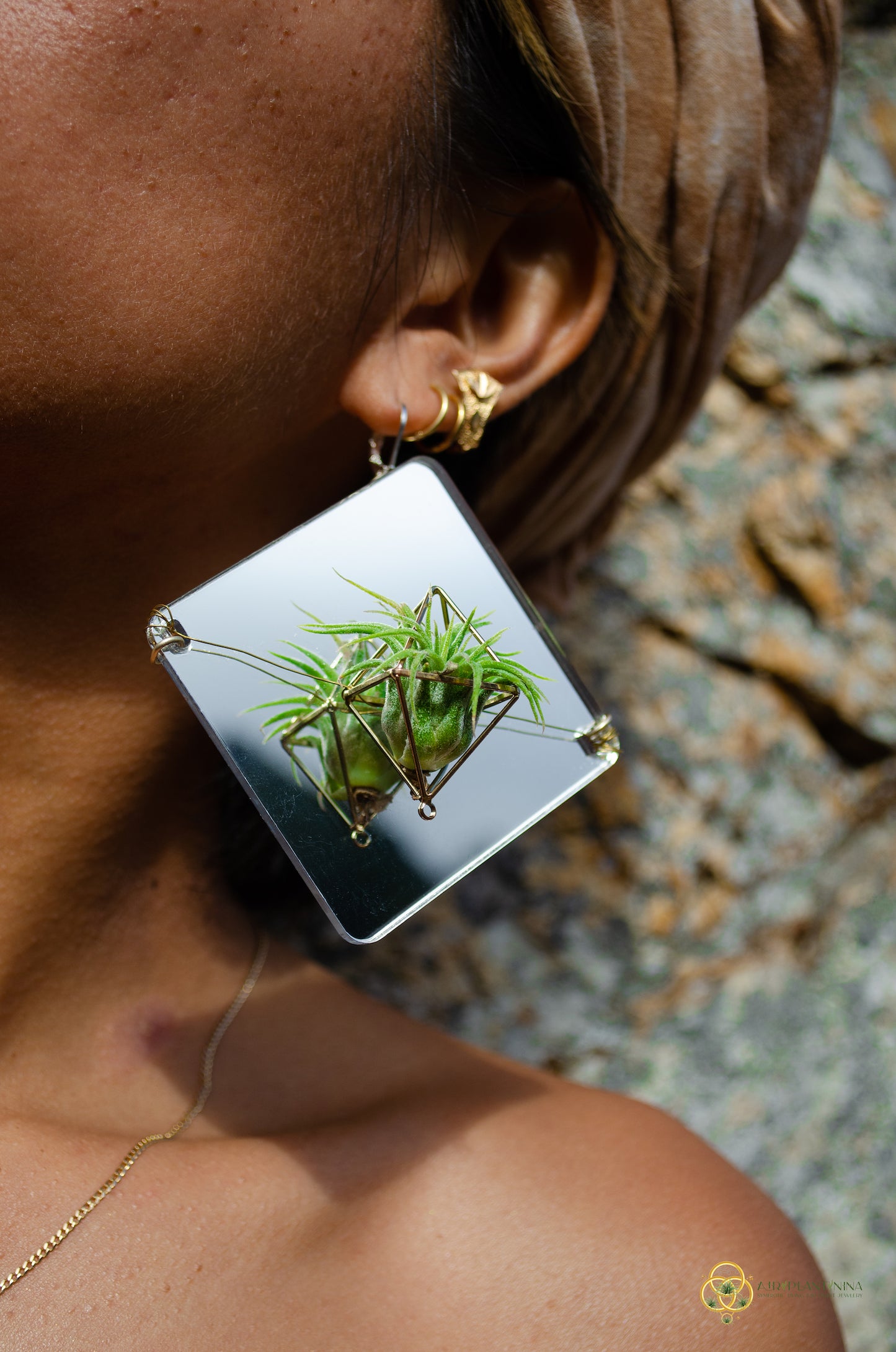 Holographic Mirror Air Plant Earrings ~  Iridescent Living Earrings