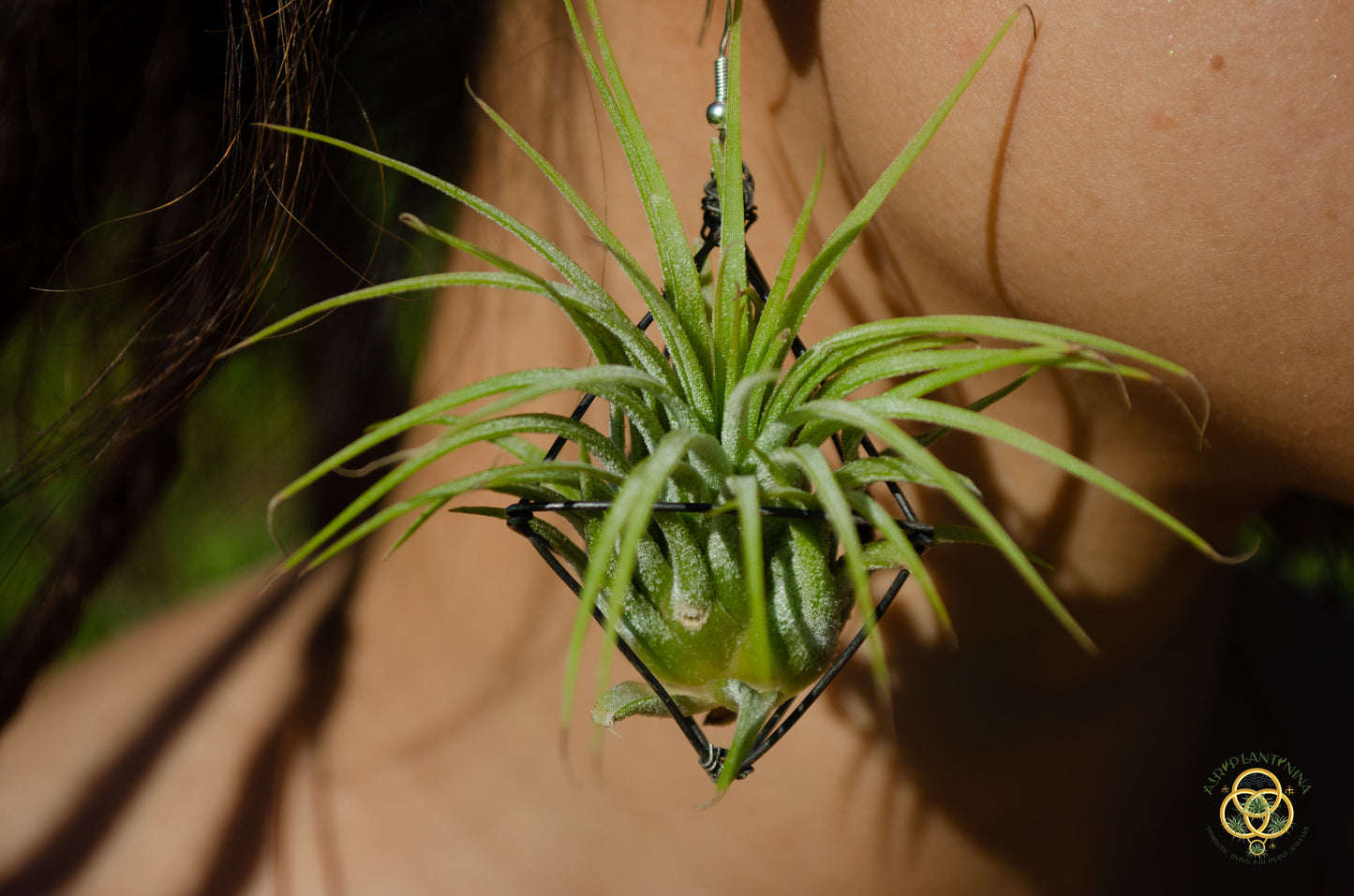 Large Diamond Air Plant Earrings - Geometric Octahedrons (Sterling Silver)