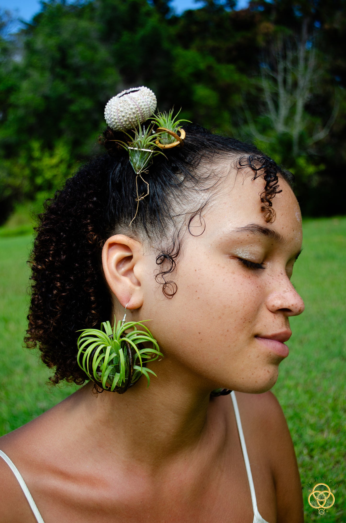 Lasercut Wooden Air Plant Orb Earrings ~ Japanese Tsugite Technique