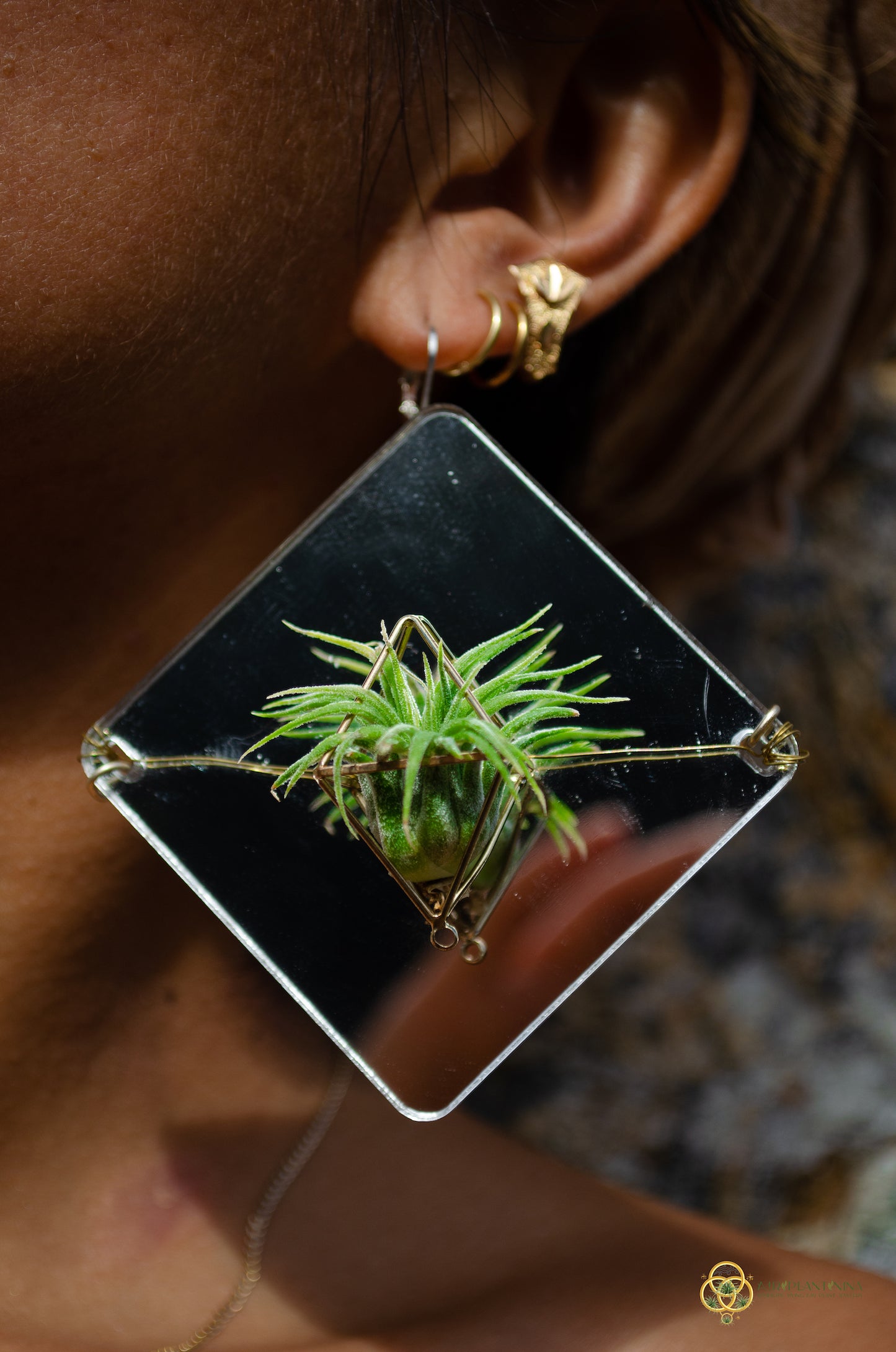 Holographic Mirror Air Plant Earrings ~  Iridescent Living Earrings