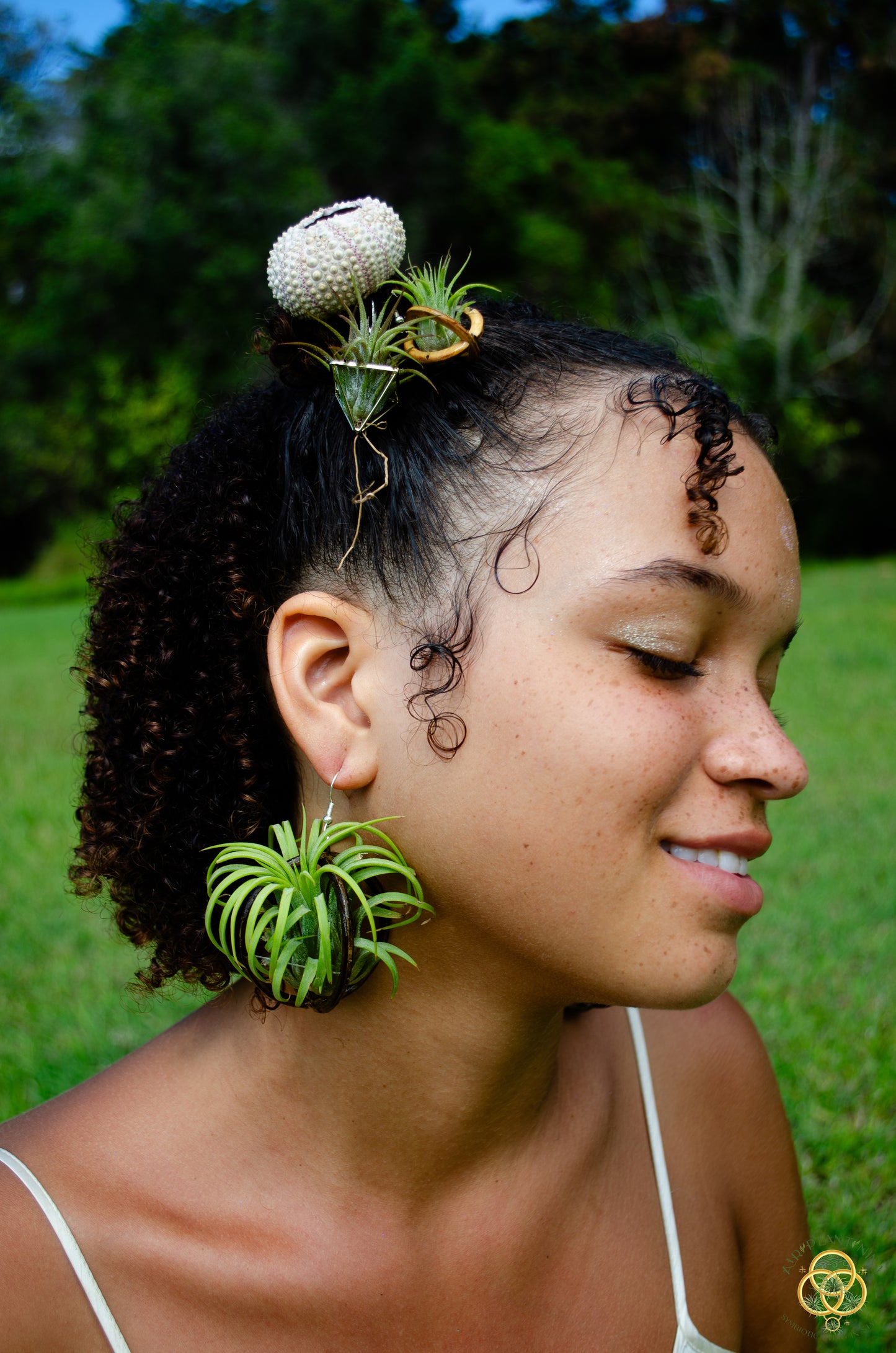 Lasercut Wooden Air Plant Orb Earrings ~ Japanese Tsugite Technique