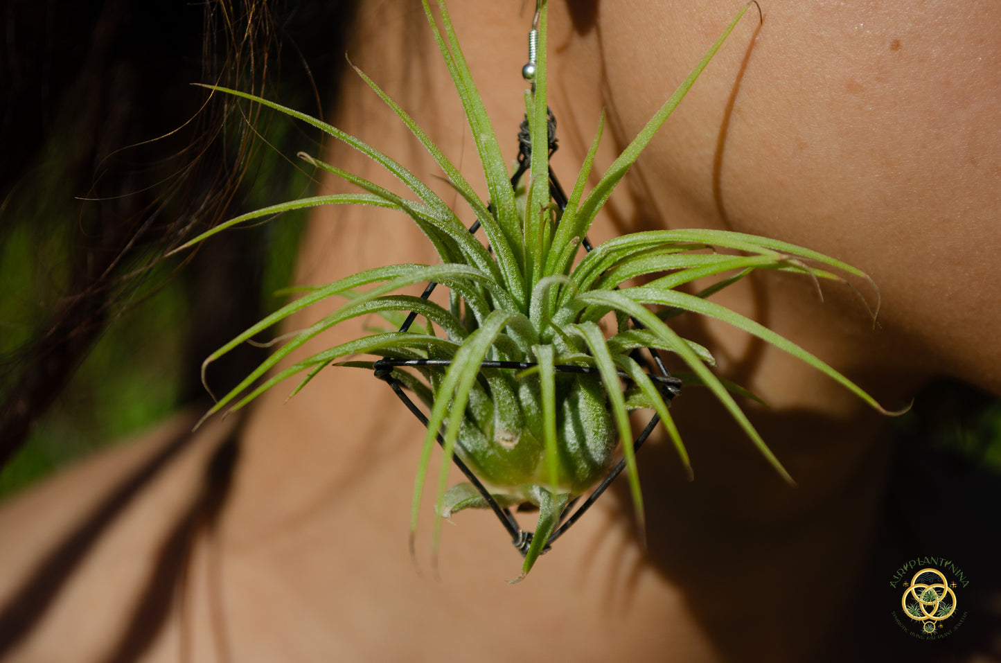 Large Diamond Air Plant Earrings - Geometric Octahedrons (Sterling Silver)