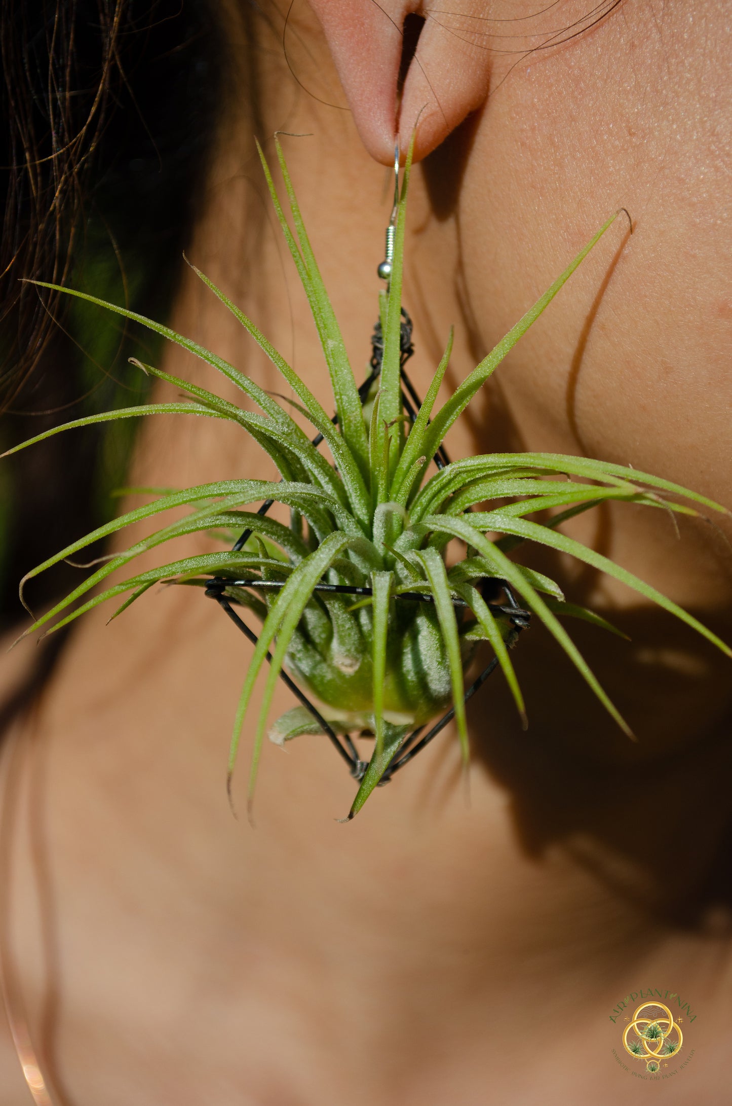 Large Diamond Air Plant Earrings - Geometric Octahedrons (Sterling Silver)