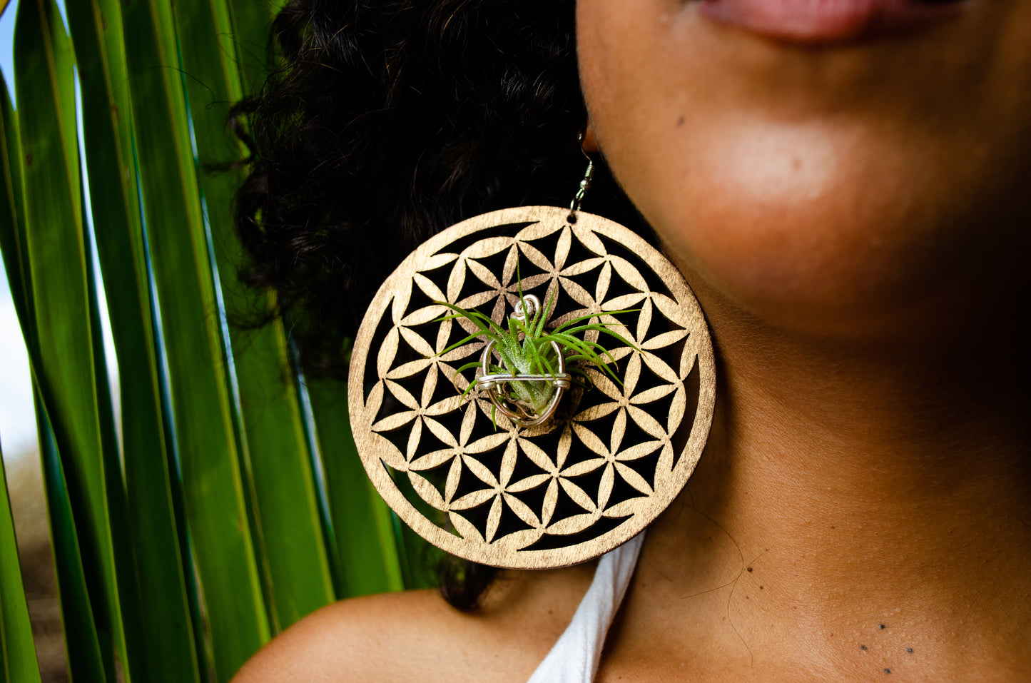 Flower of Life Wood Air Plant Earrings