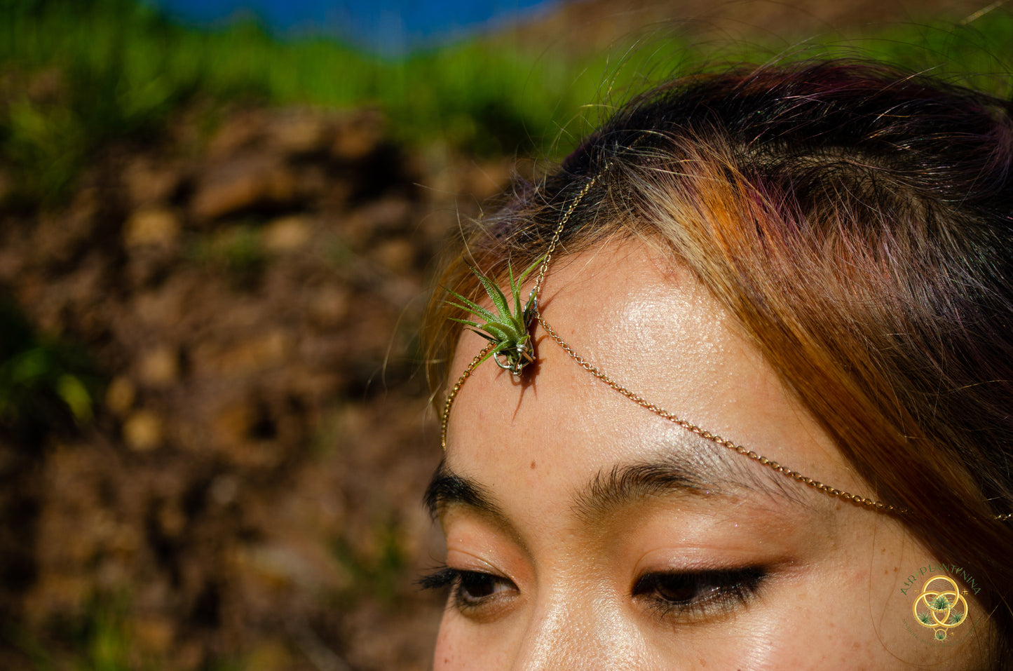 Air Plant Bindi Headdress Simple Headchain
