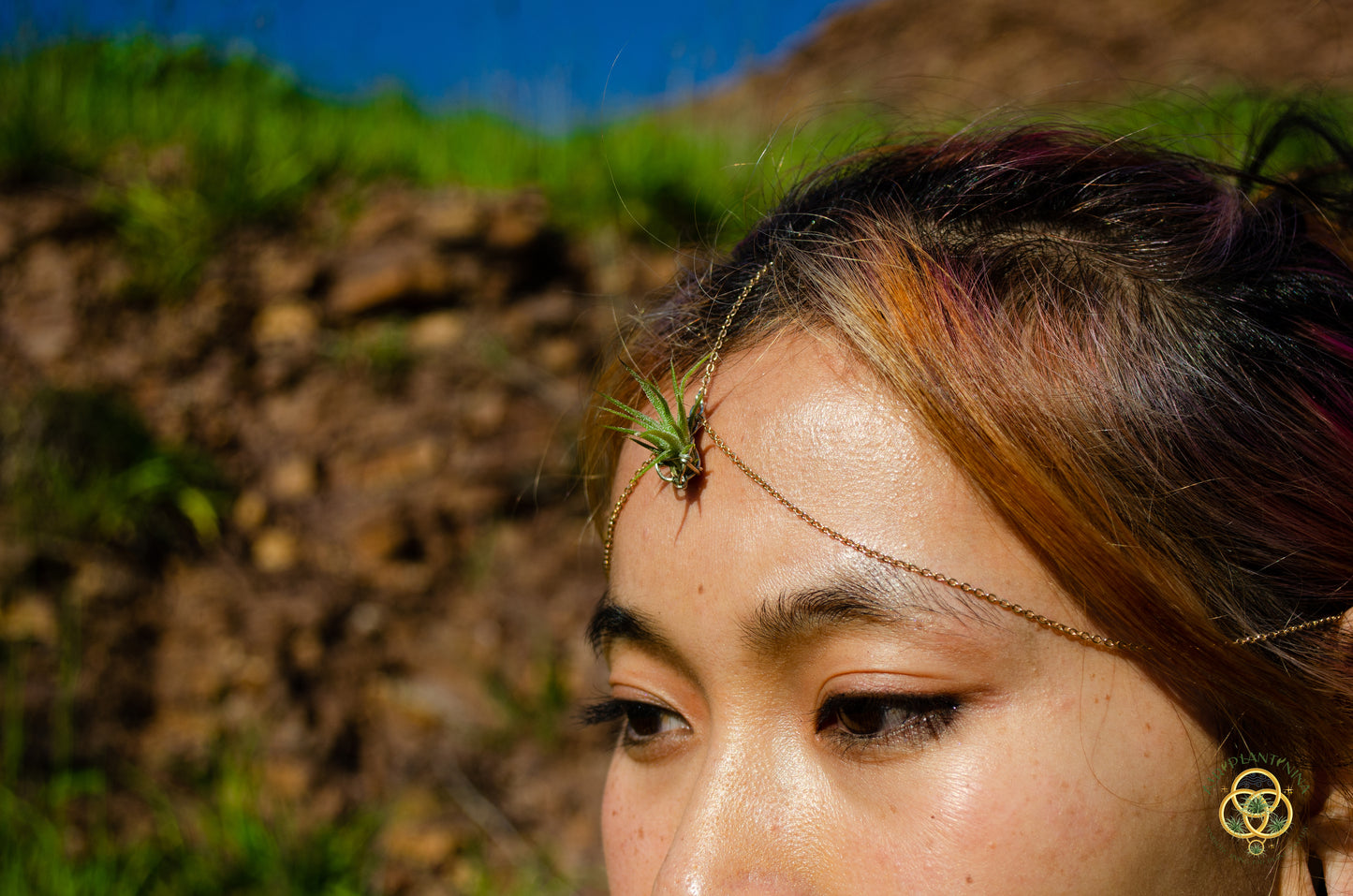 Air Plant Bindi Headdress Simple Headchain