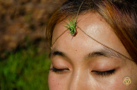 Air Plant Bindi Headdress Simple Headchain