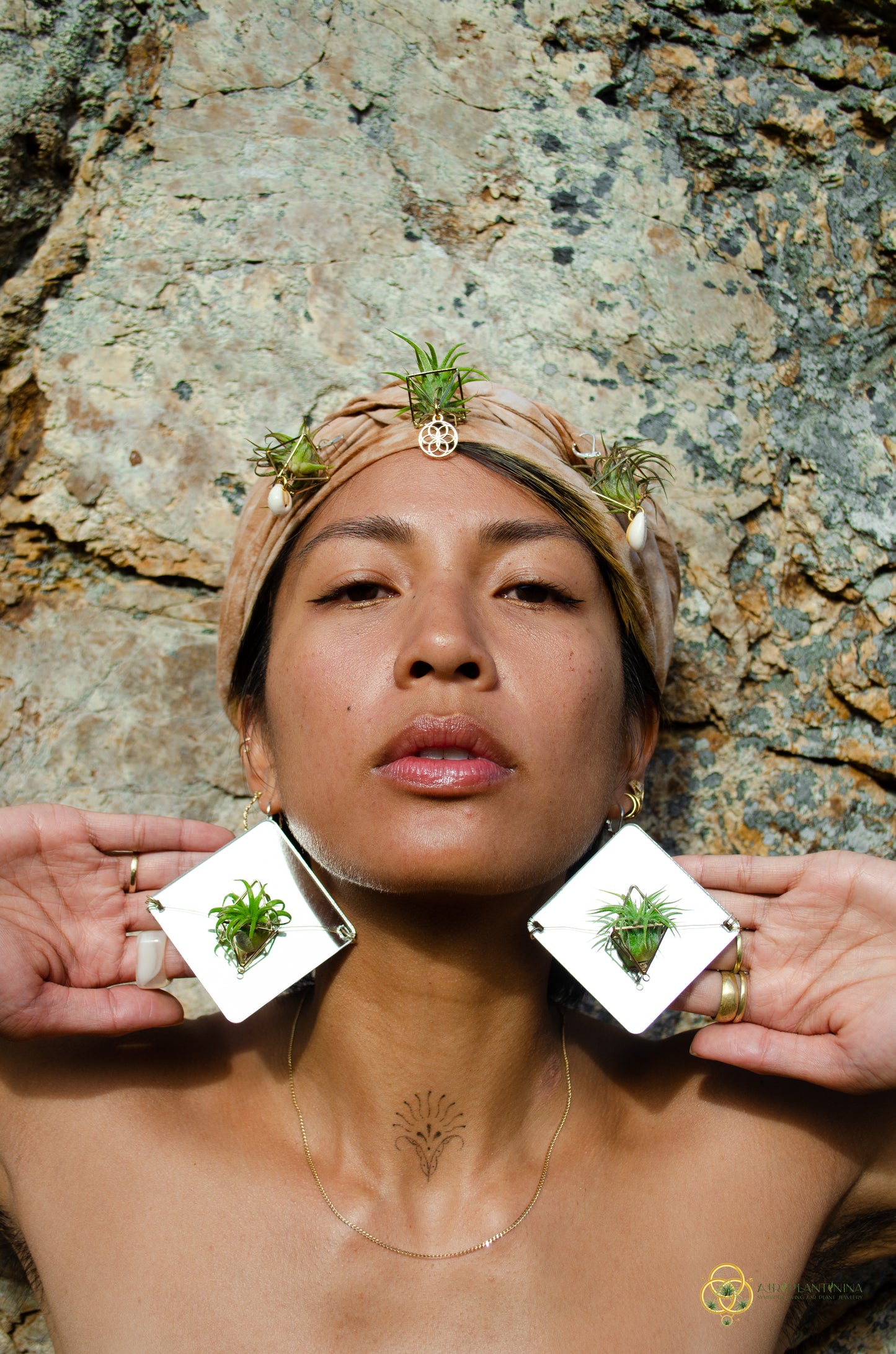 Holographic Mirror Air Plant Earrings ~  Iridescent Living Earrings