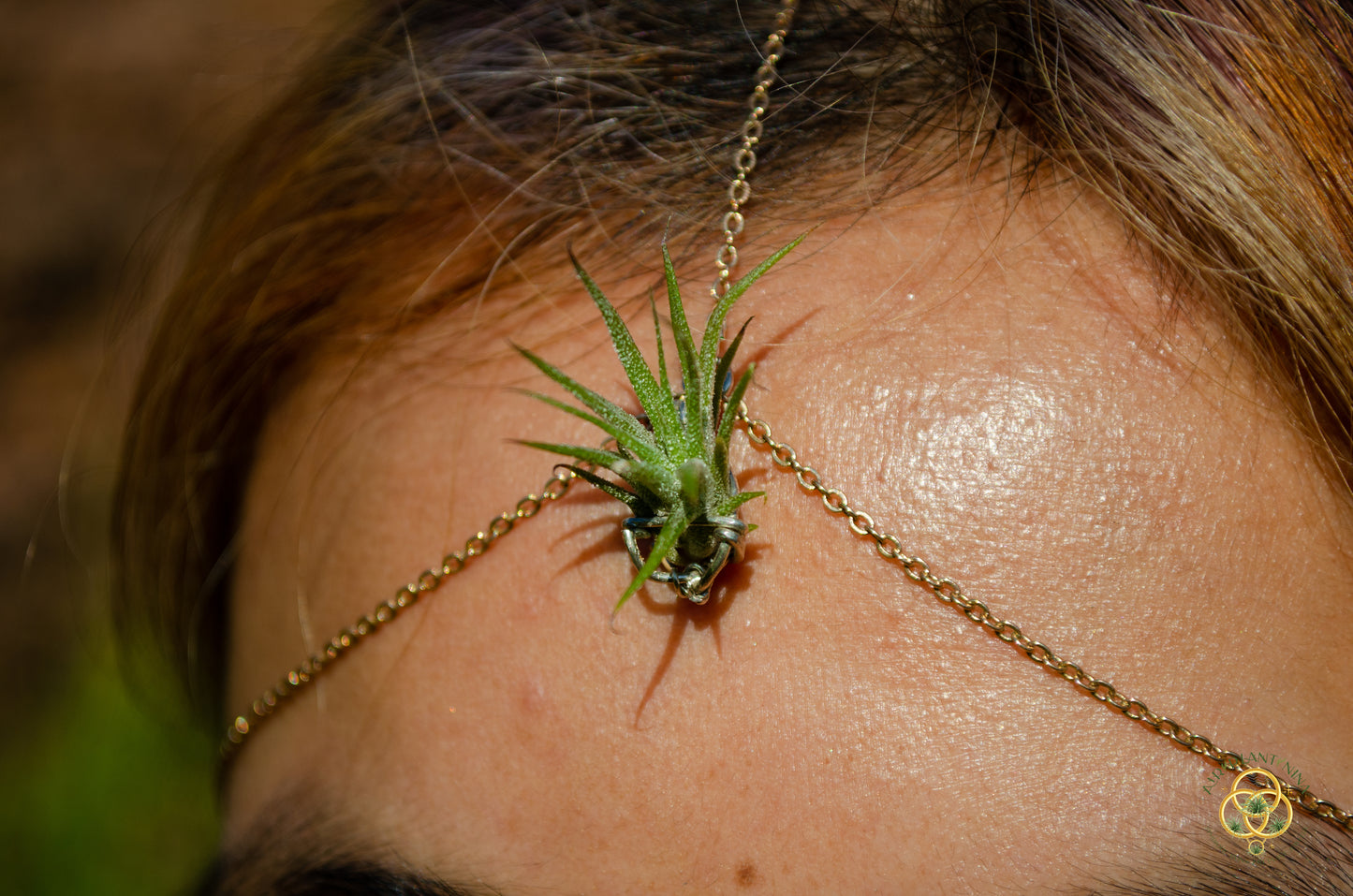 Air Plant Bindi Headdress Simple Headchain