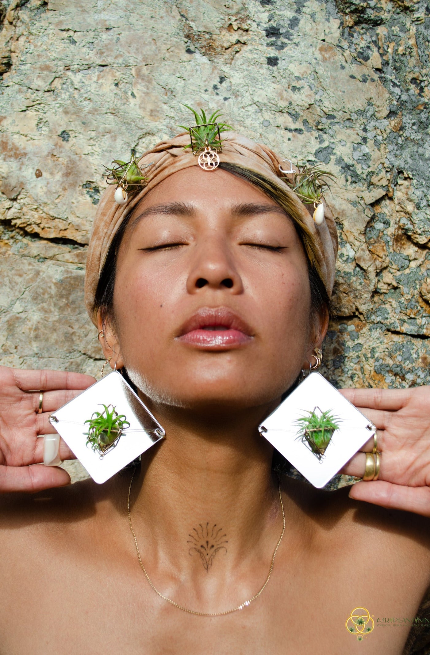 Holographic Mirror Air Plant Earrings ~  Iridescent Living Earrings