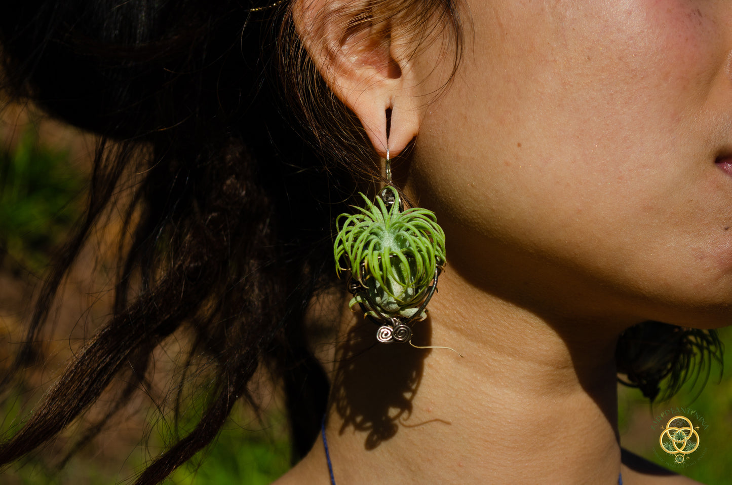 Air Plant Original Orb Earrings
