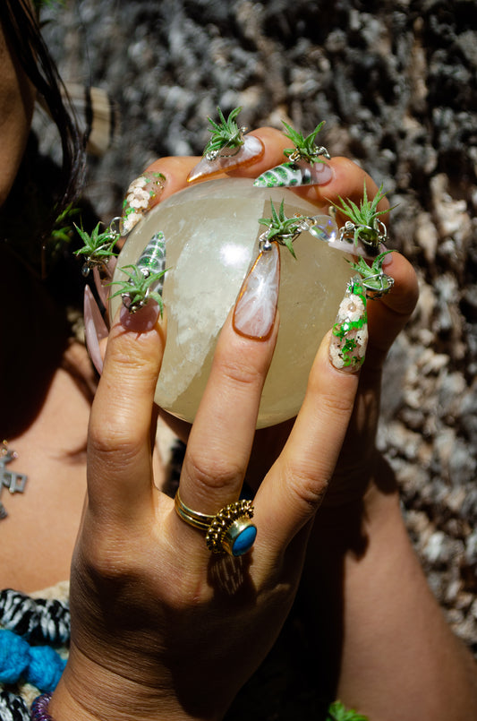 Air Plant Glam Nails ~ Interchangeable in Orbs