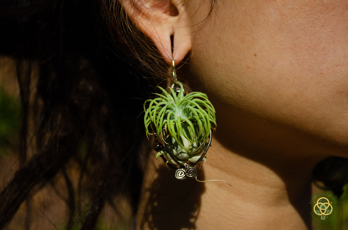 Air Plant Original Orb Earrings