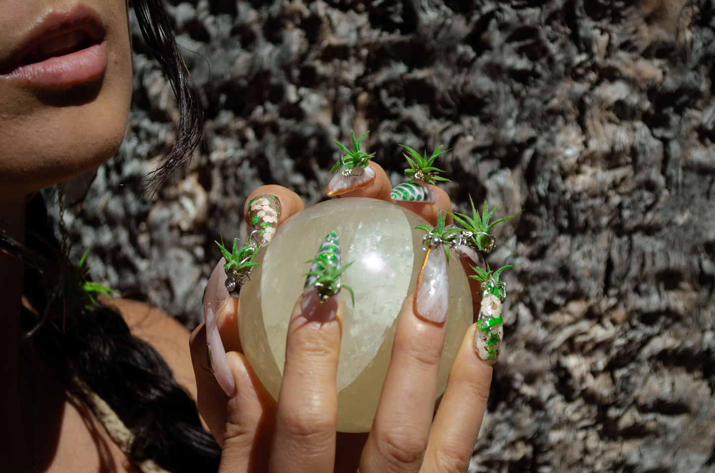 Air Plant Glam Nails ~ Interchangeable in Orbs
