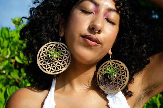 Flower of Life Wood Air Plant Earrings