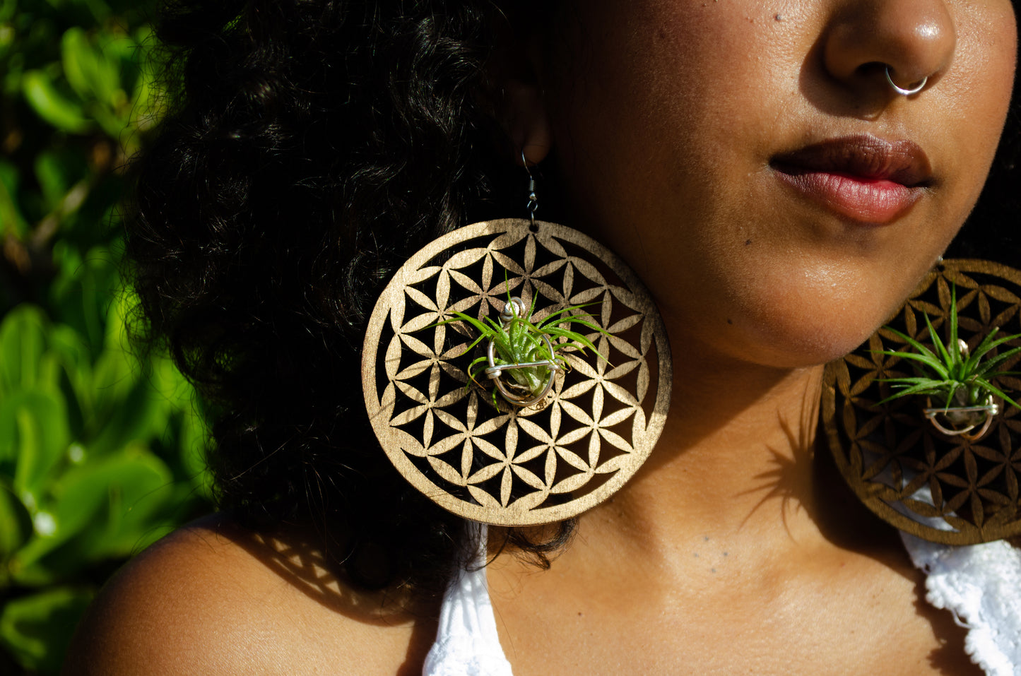 Flower of Life Wood Air Plant Earrings