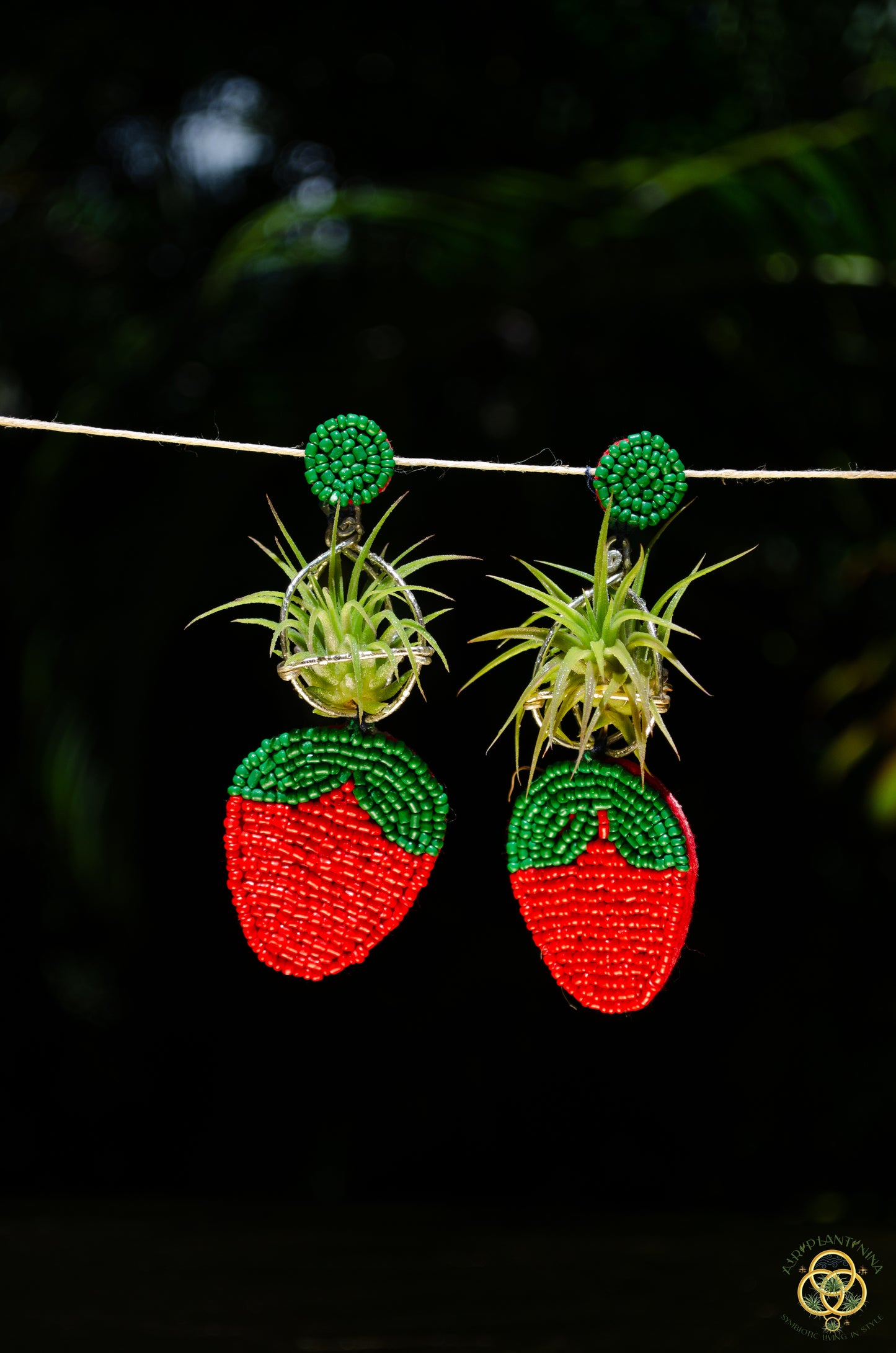 Strawberry Air Plant Earrings ~ Straw-bAiry