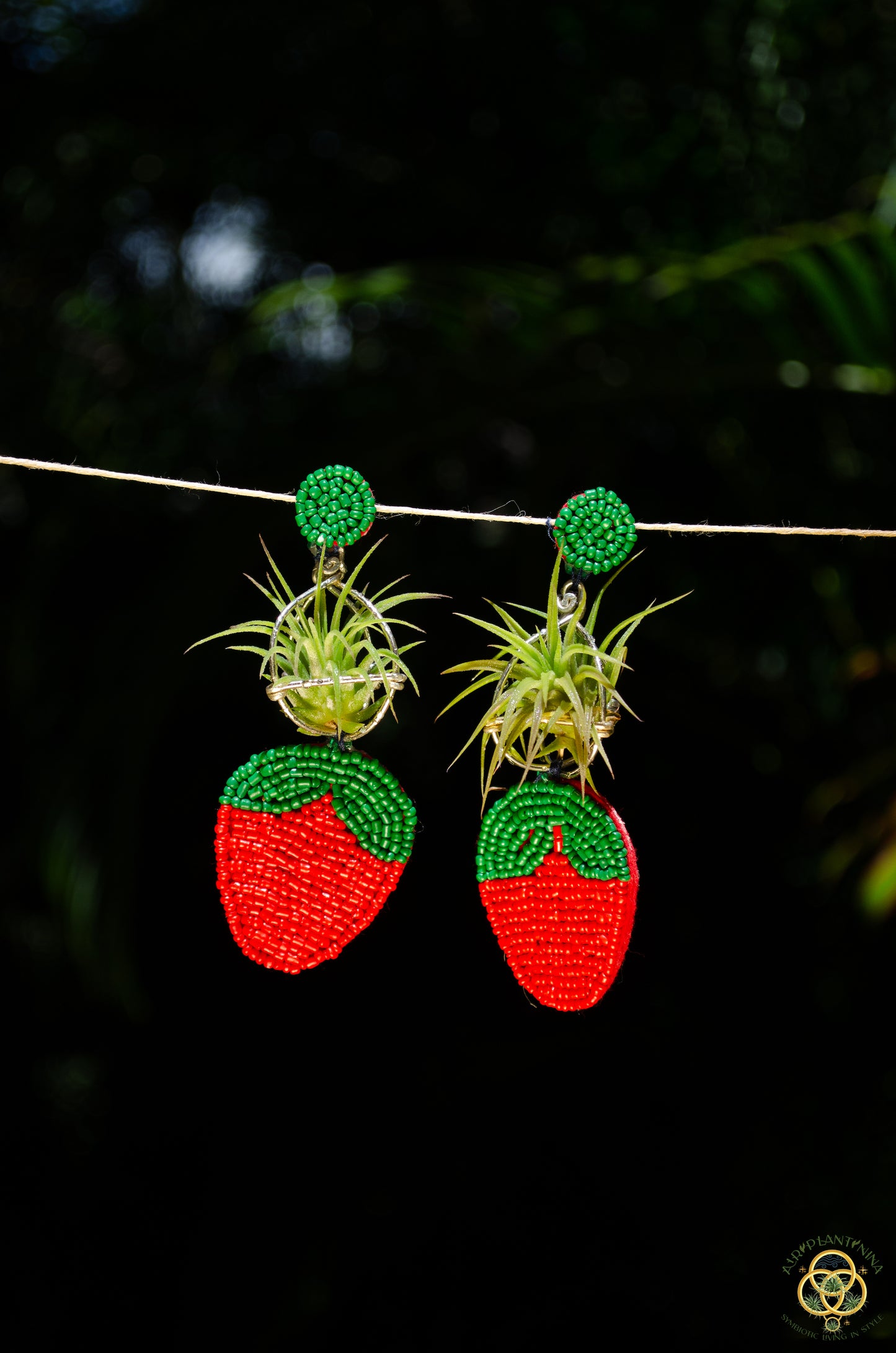Strawberry Air Plant Earrings ~ Straw-bAiry
